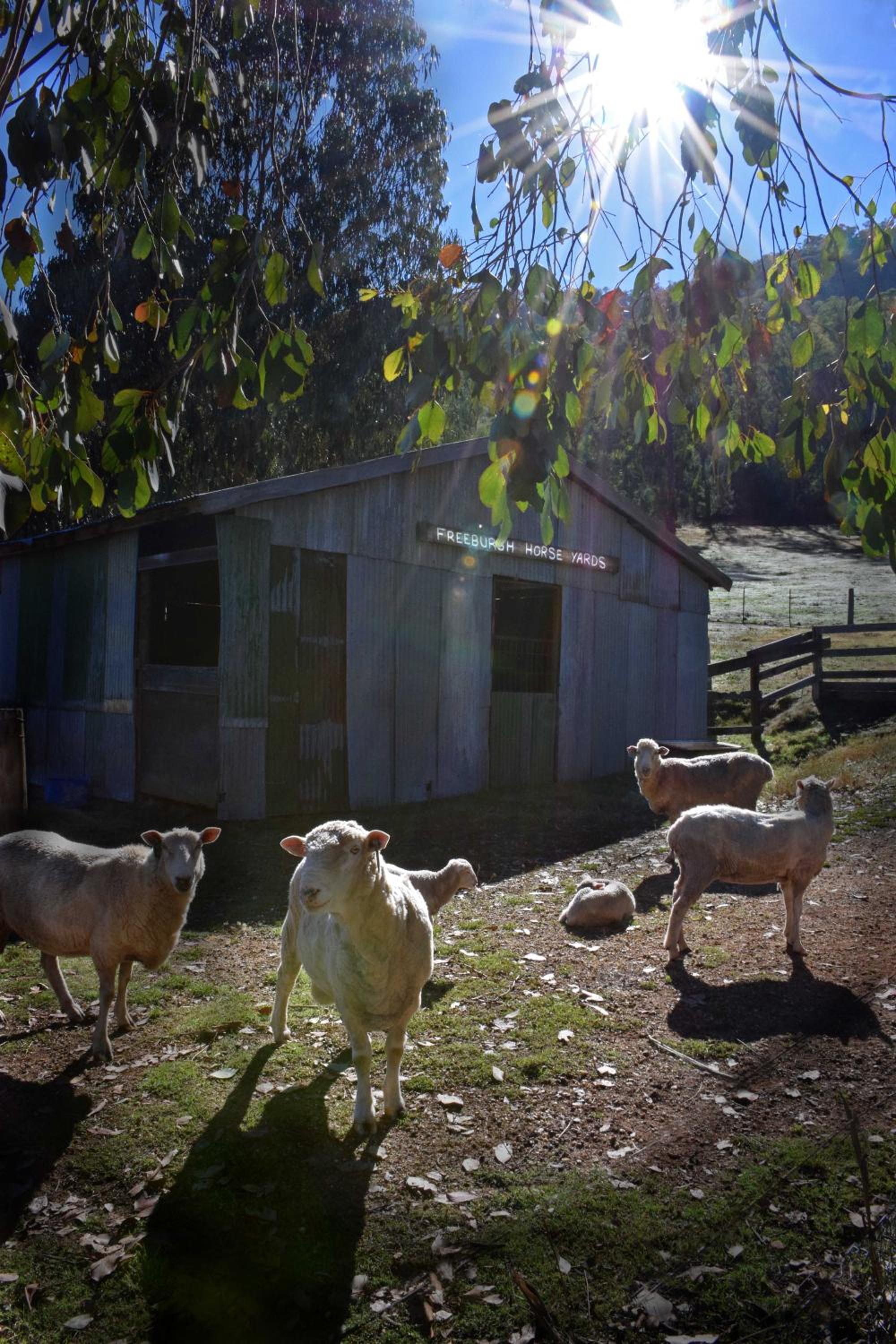 Riverbend Homestead