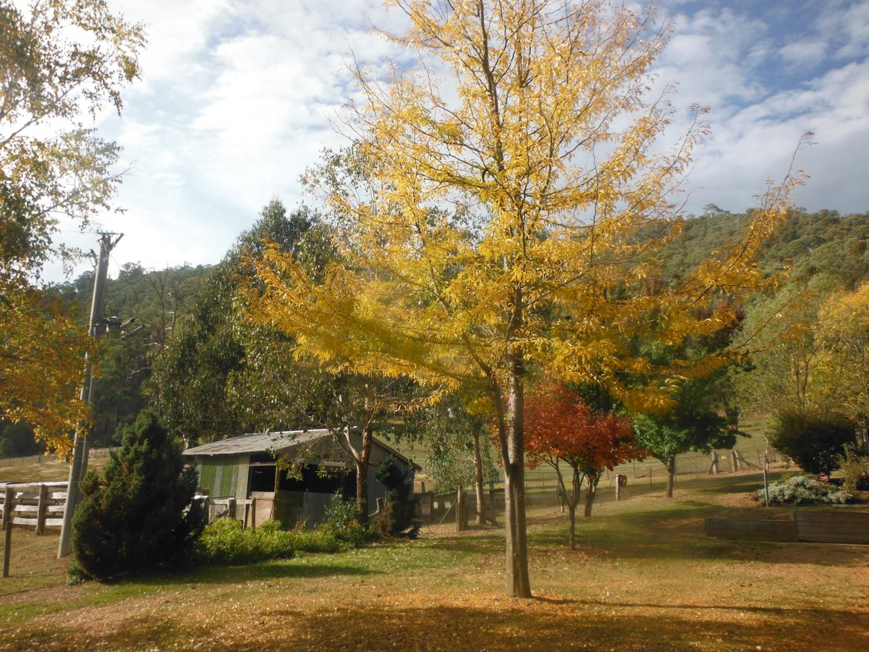 Riverbend Homestead