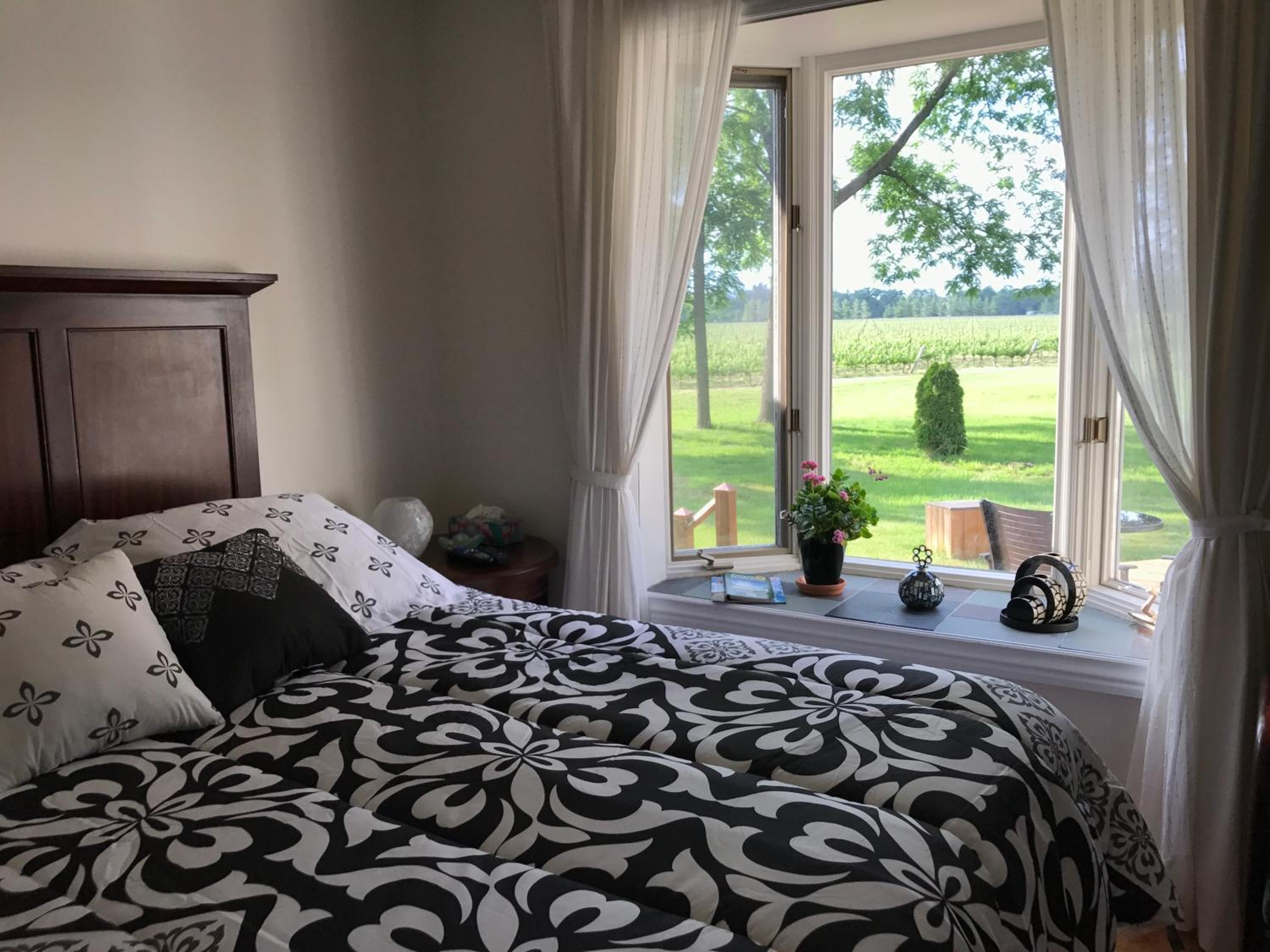 Vineyard Villa