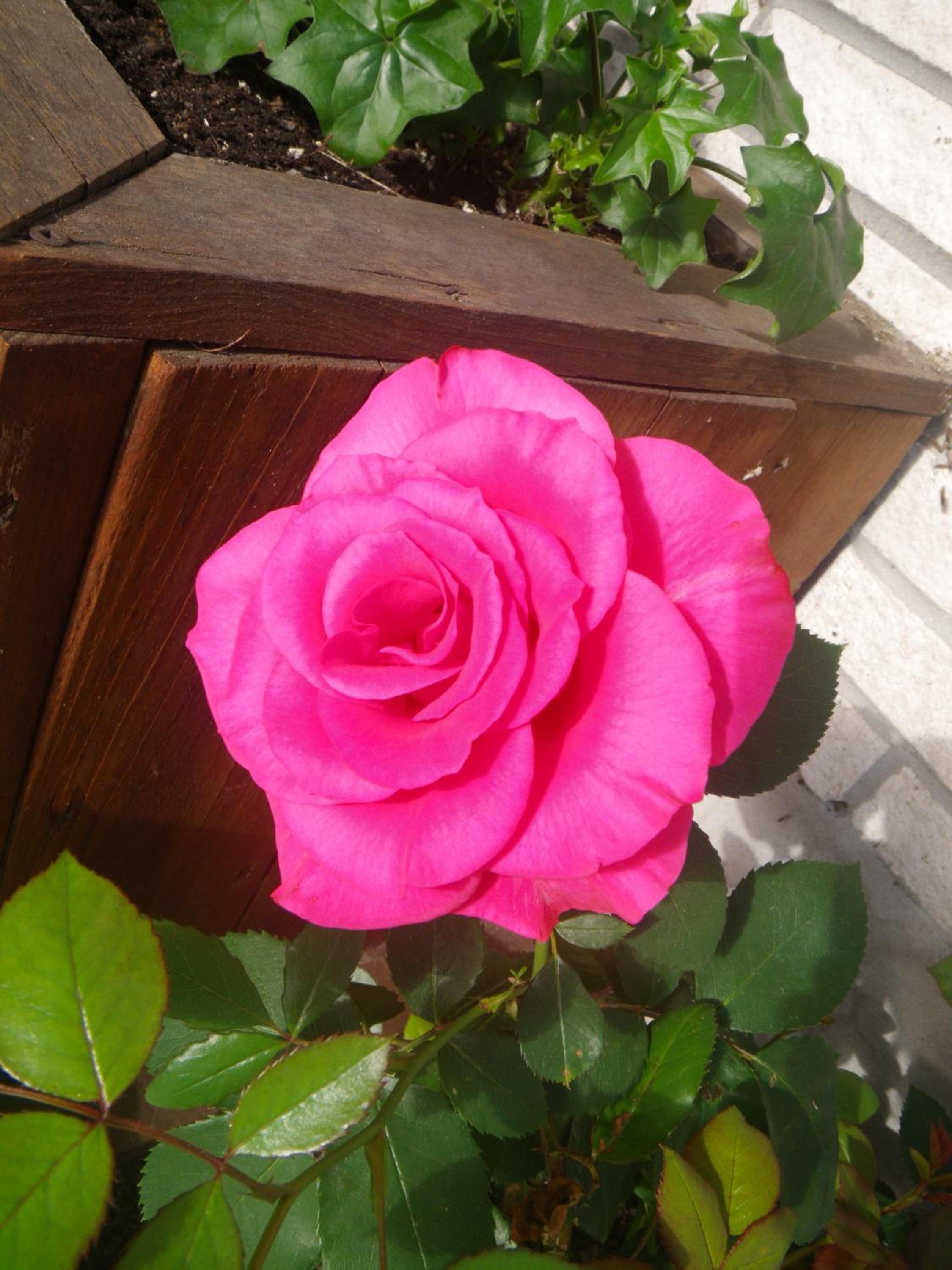 Motel Belle Riviere