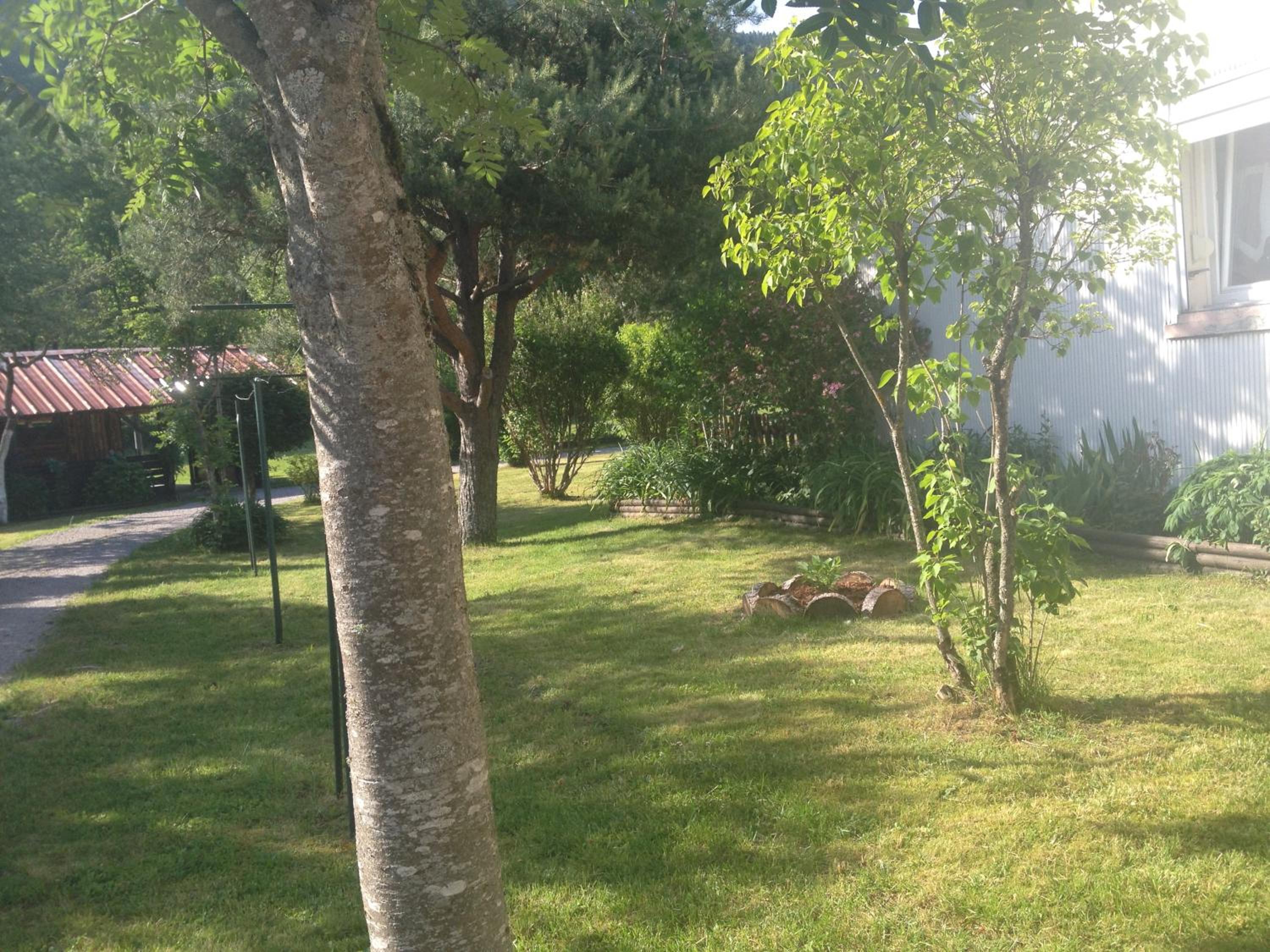 Photo 51