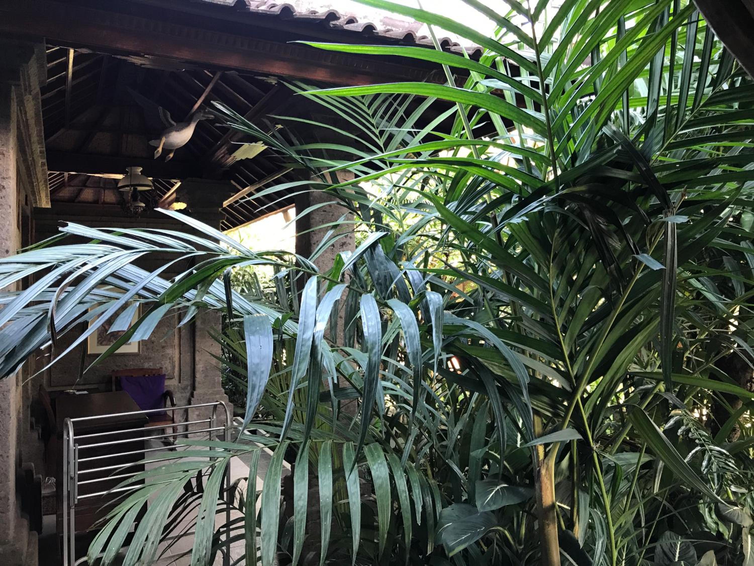 Nirvana Pension