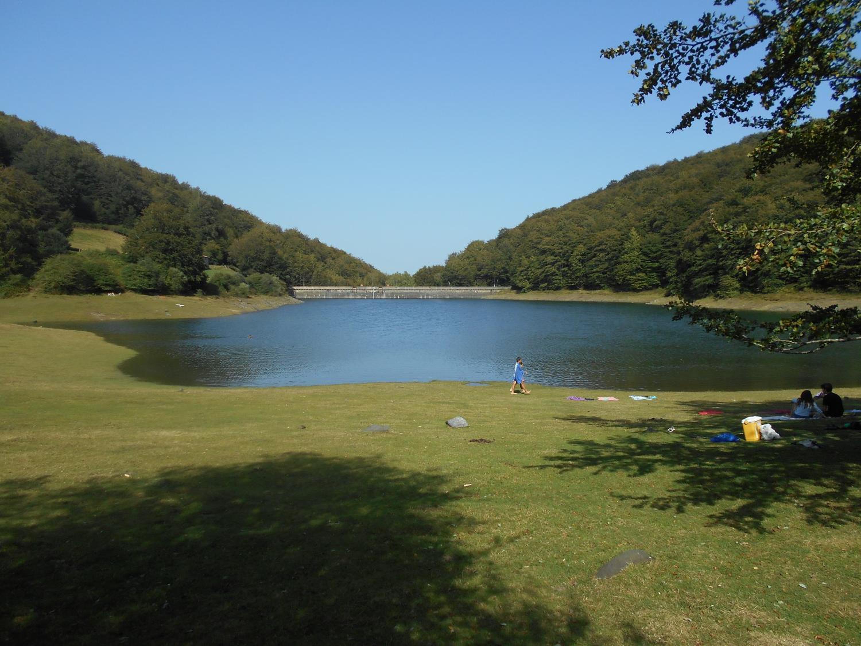 Photo 10