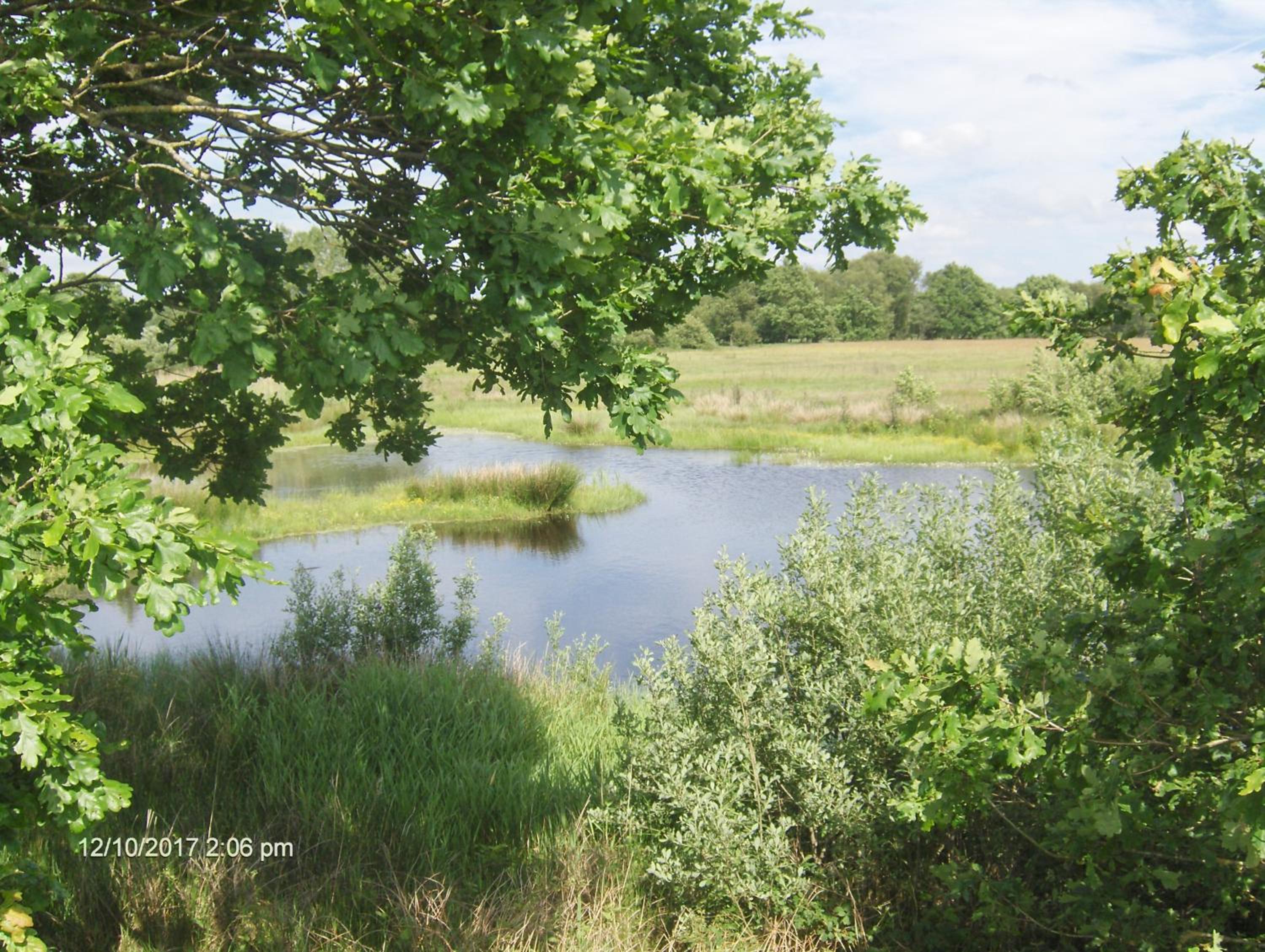 Photo 26