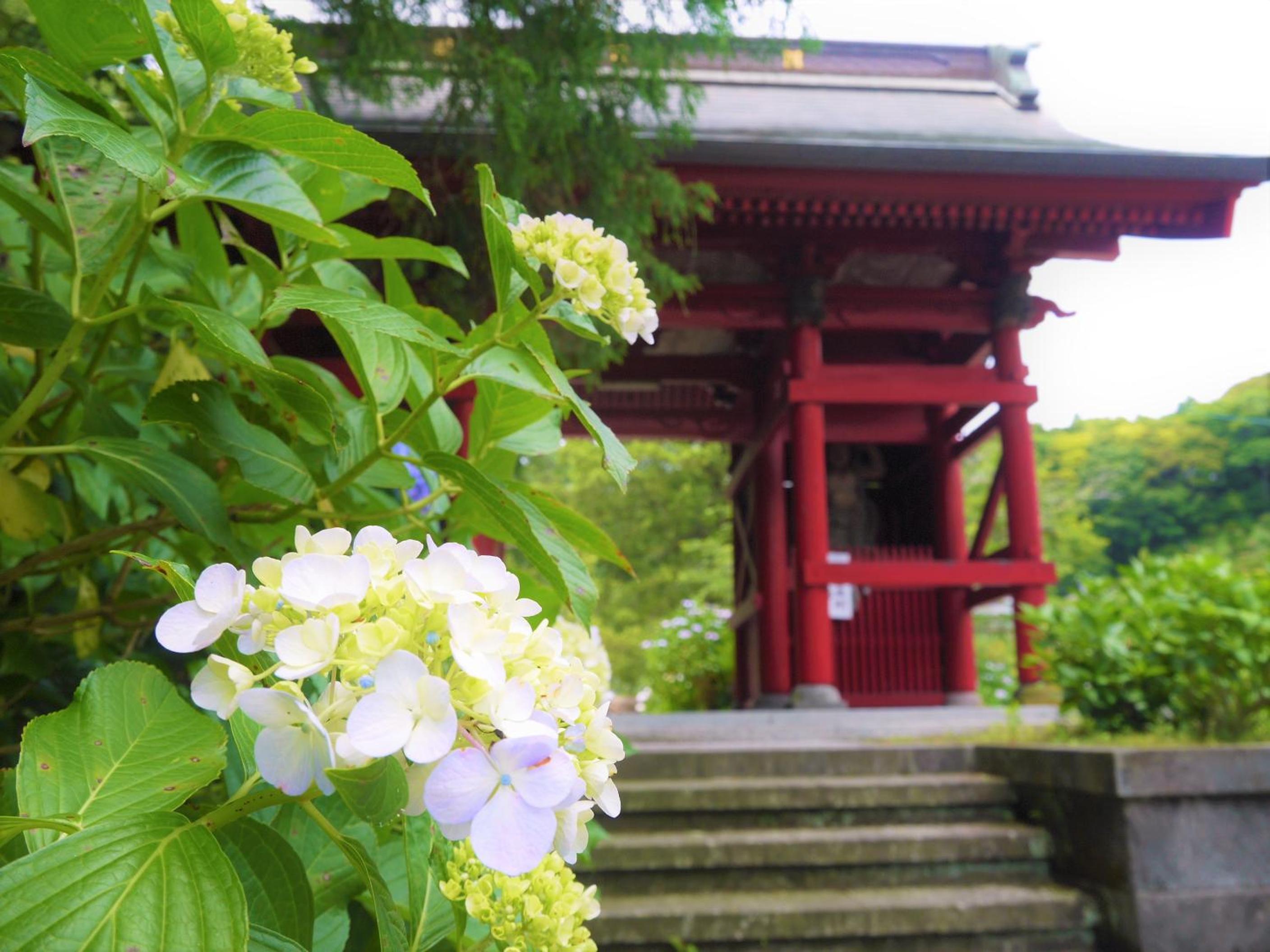 Chikurakan