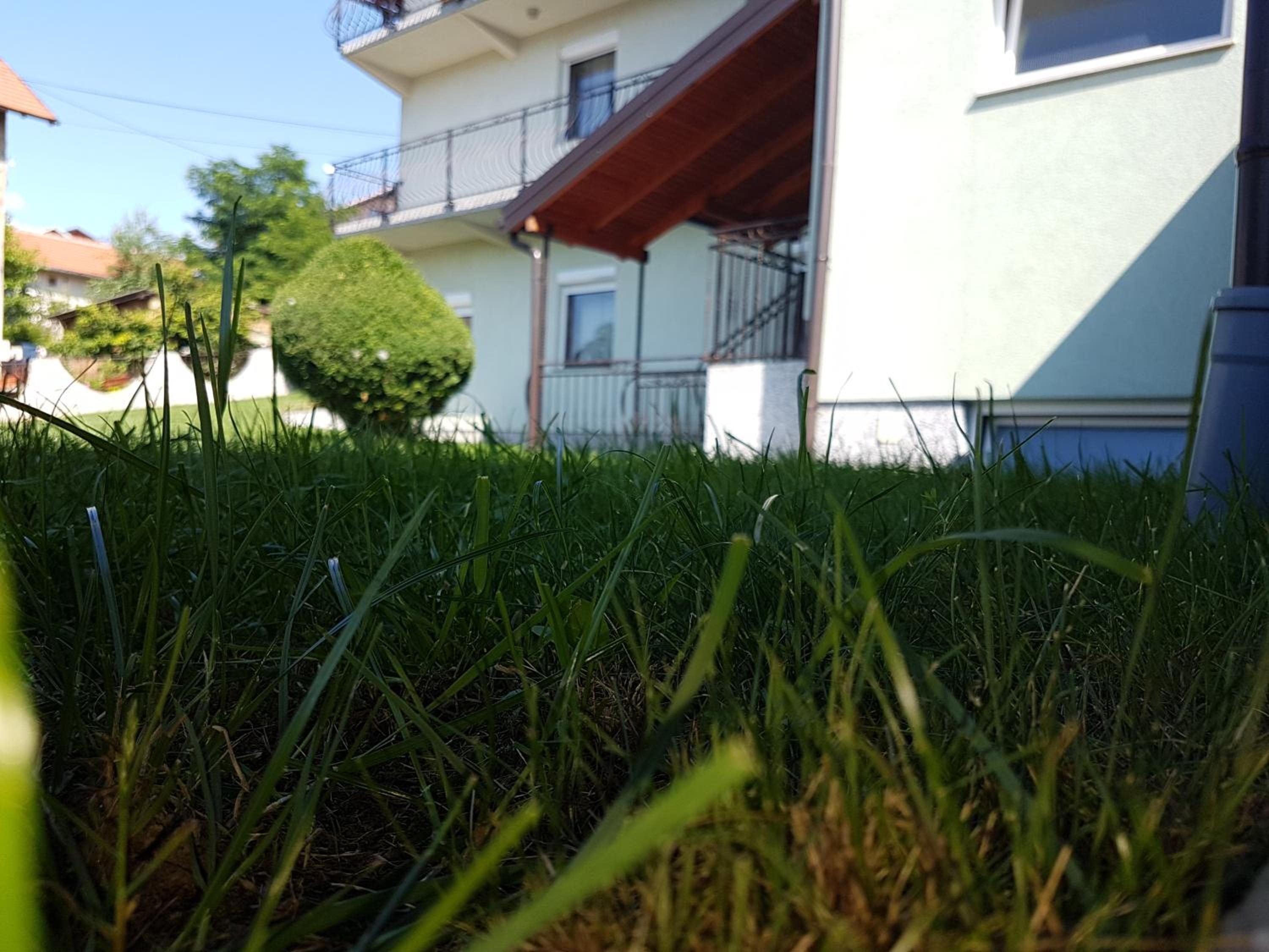 Guest house Dinka