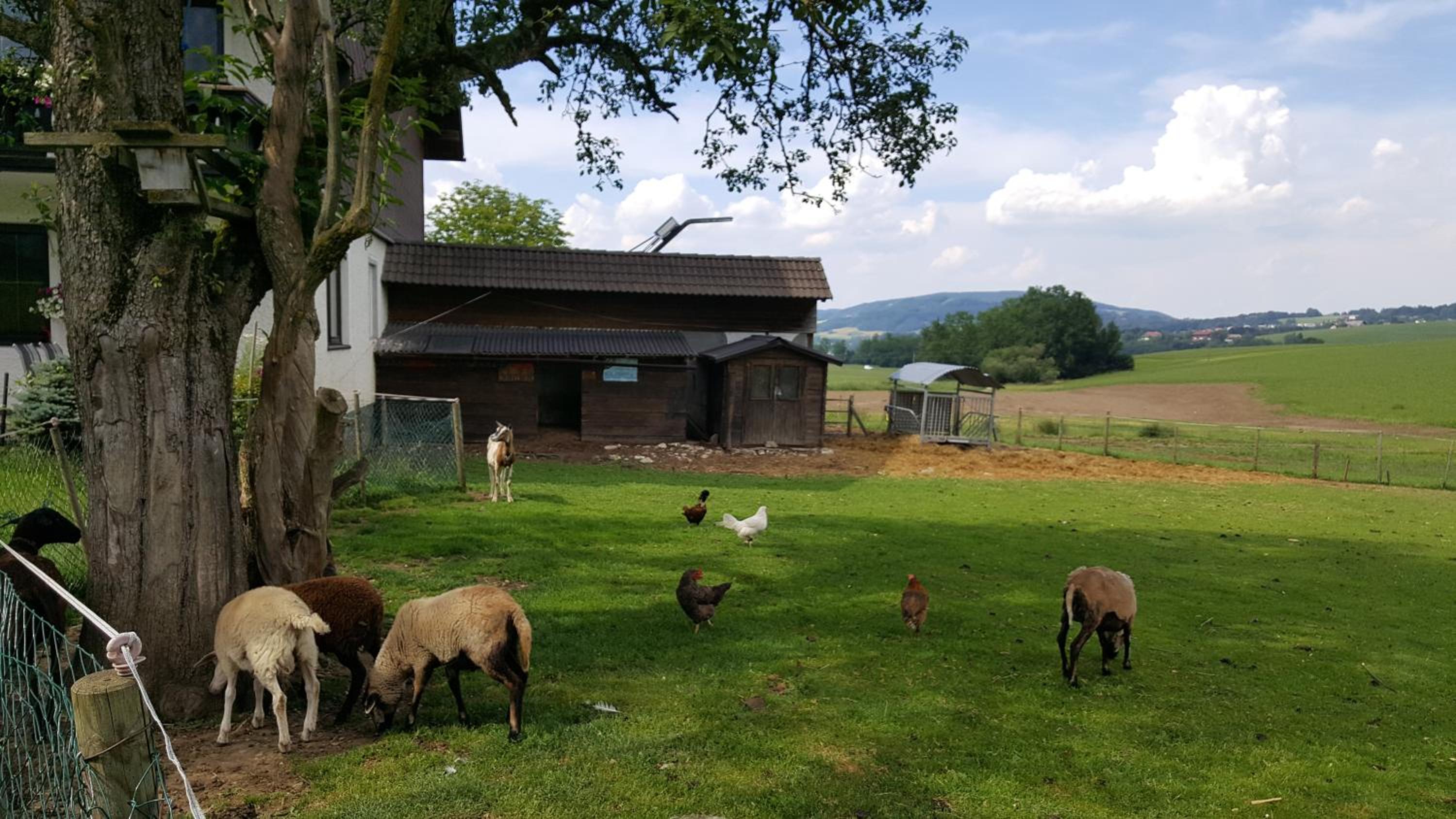 Pension Zenzlgut