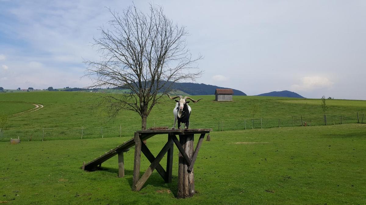 Pension Zenzlgut