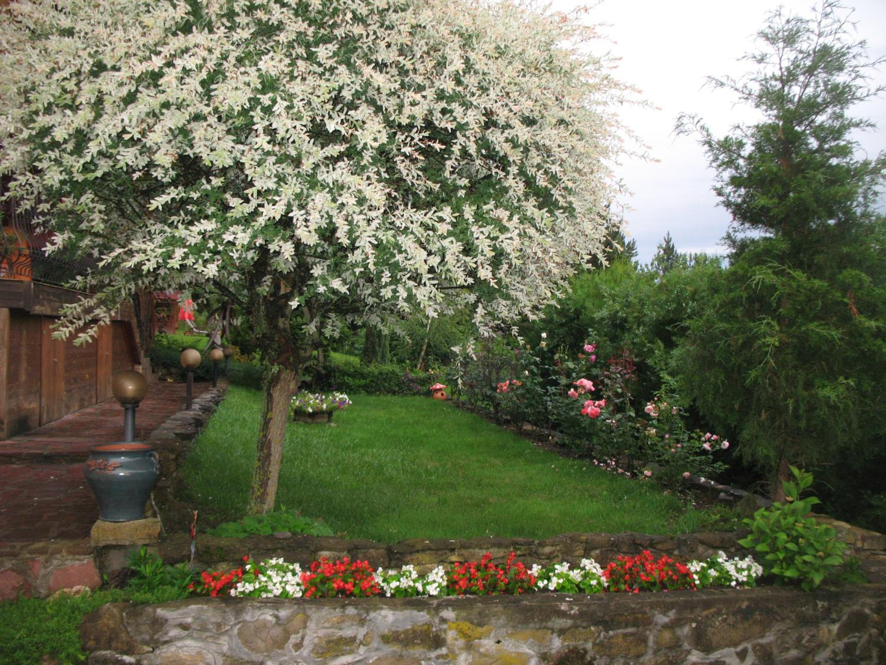 Guest House Slivek
