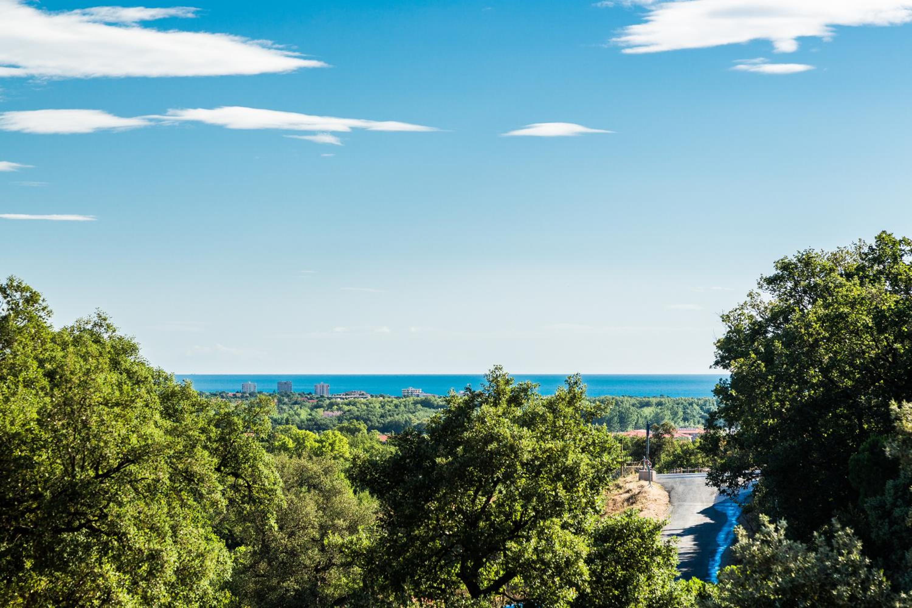 Domaine Des Mimosas view 2