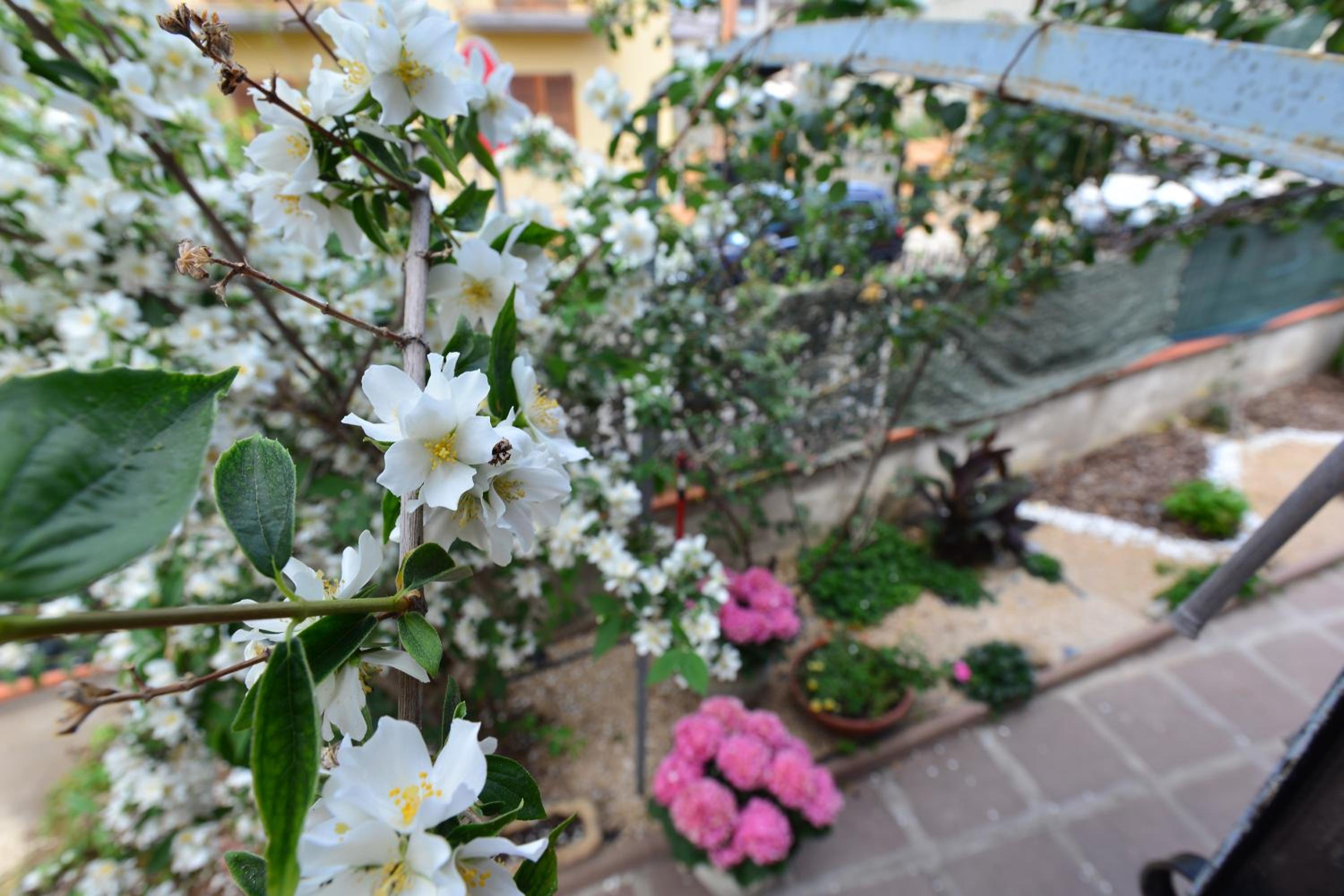 Villa Elisabetta Apartments view 5