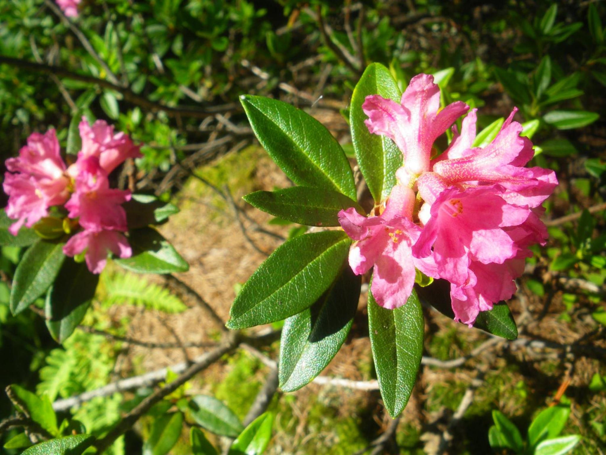 Photo 24