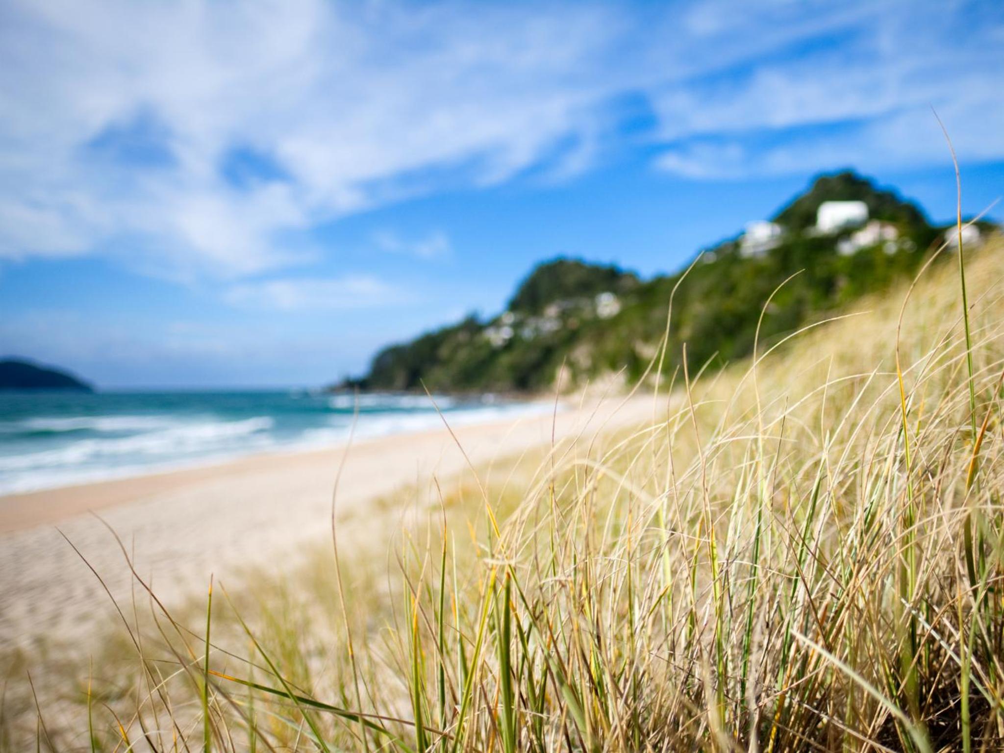 Tairua Shores Motel