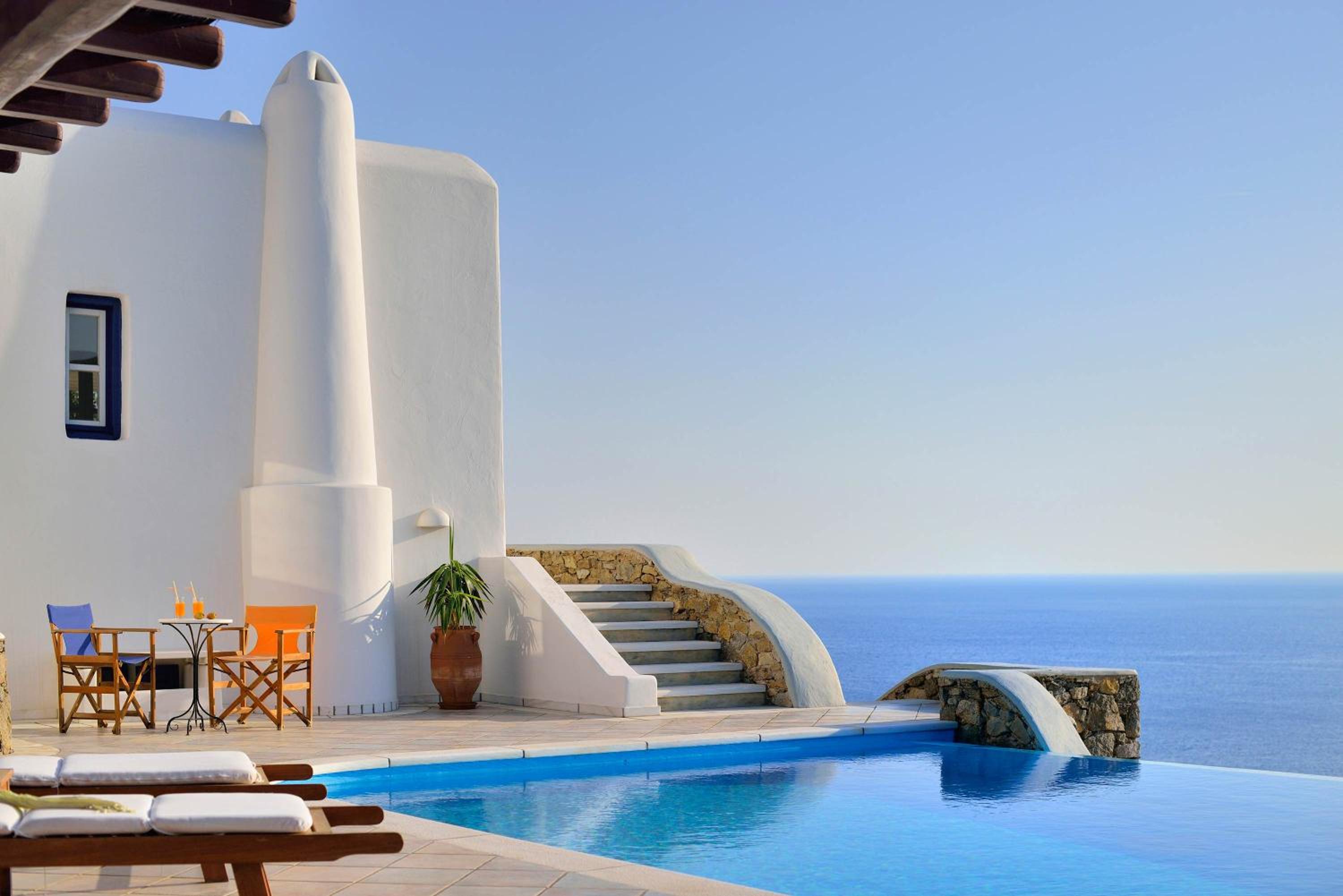 Mykonian Dianthus photo 3