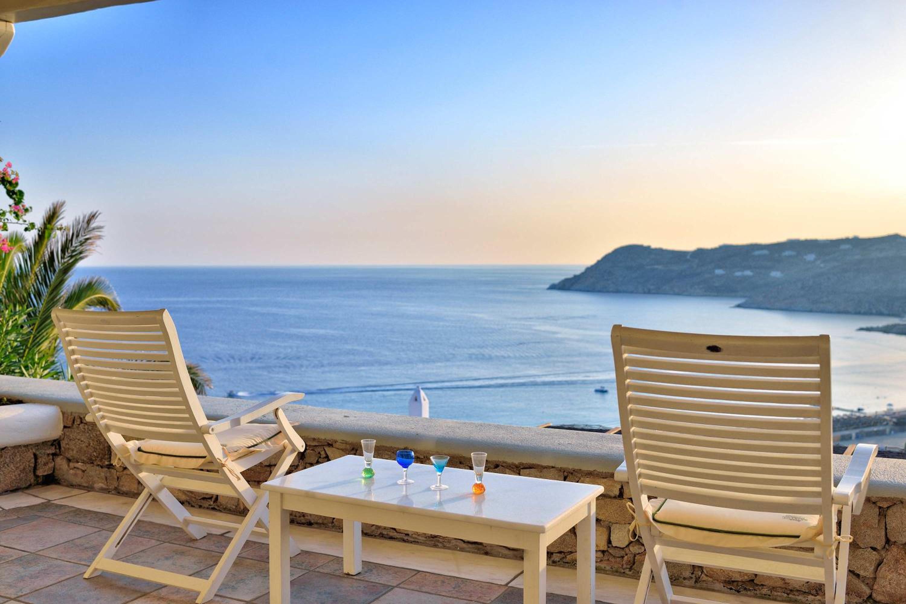 Mykonian Dianthus photo 5