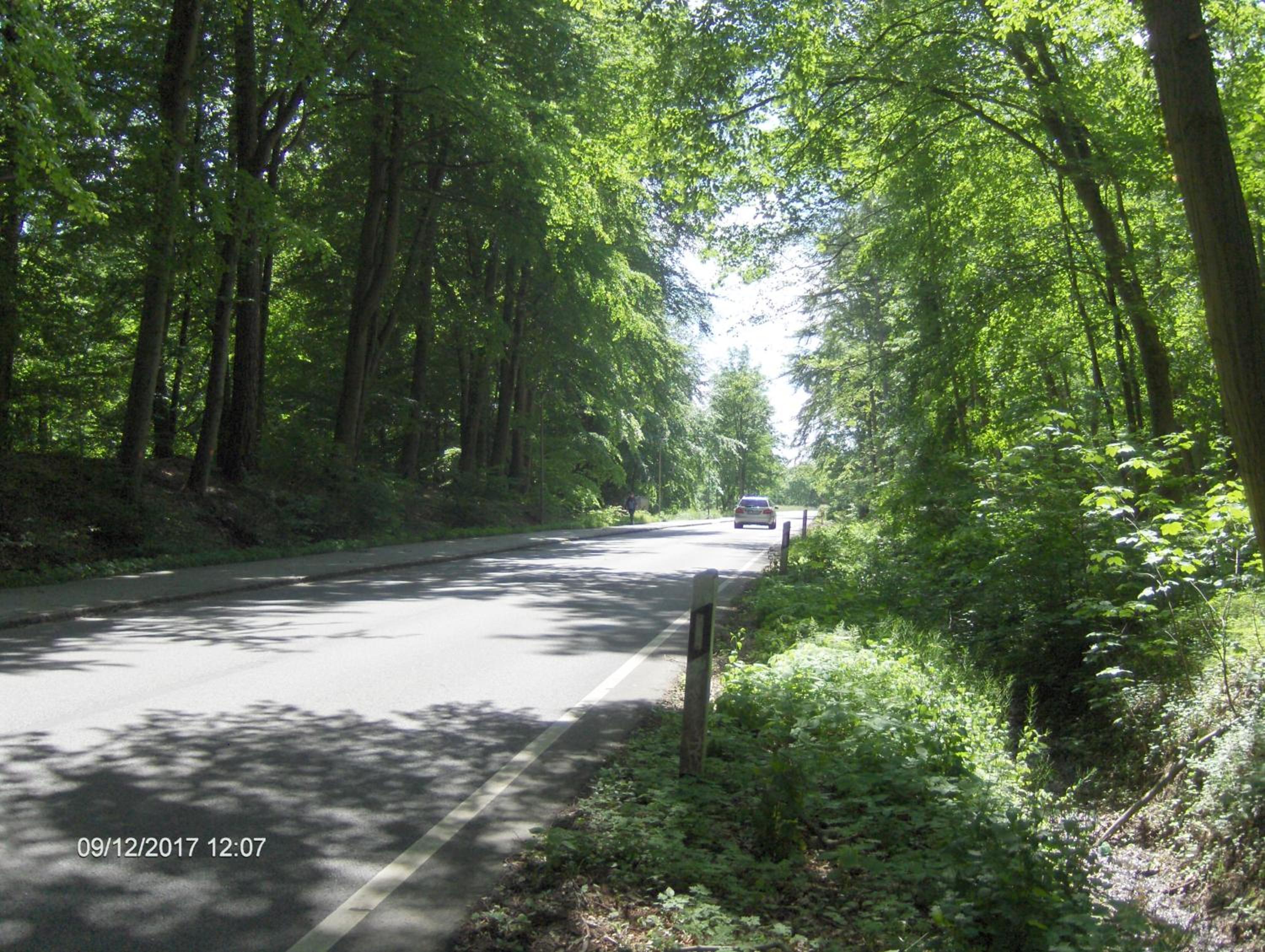 Photo 45