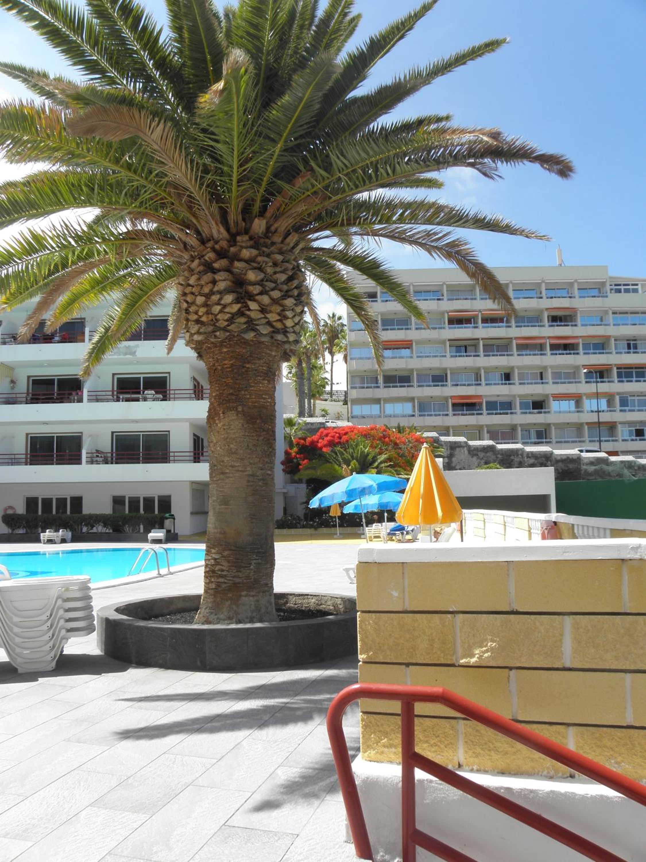 Beach Apartment with Ocean View La Arena