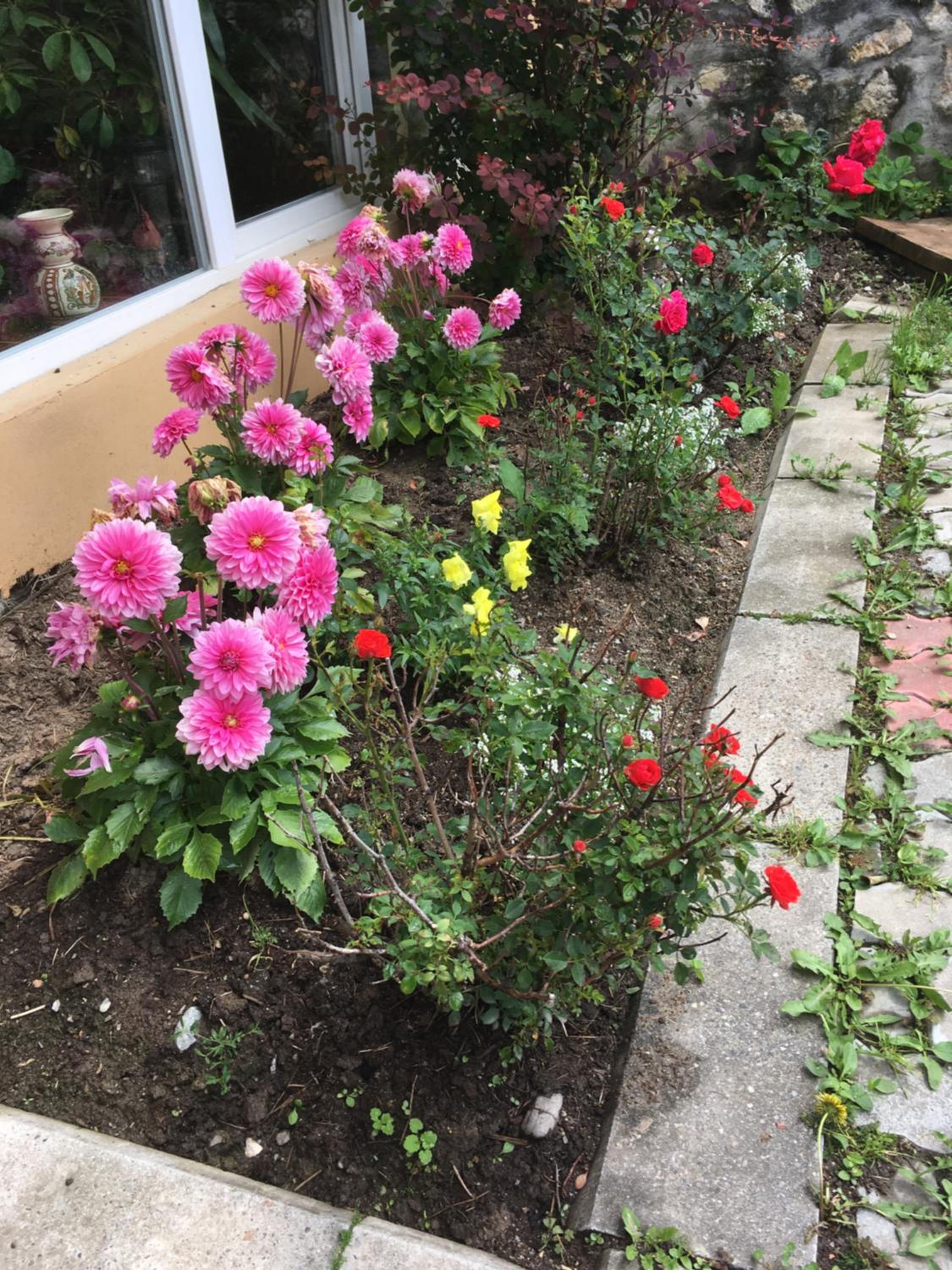 Photo 34