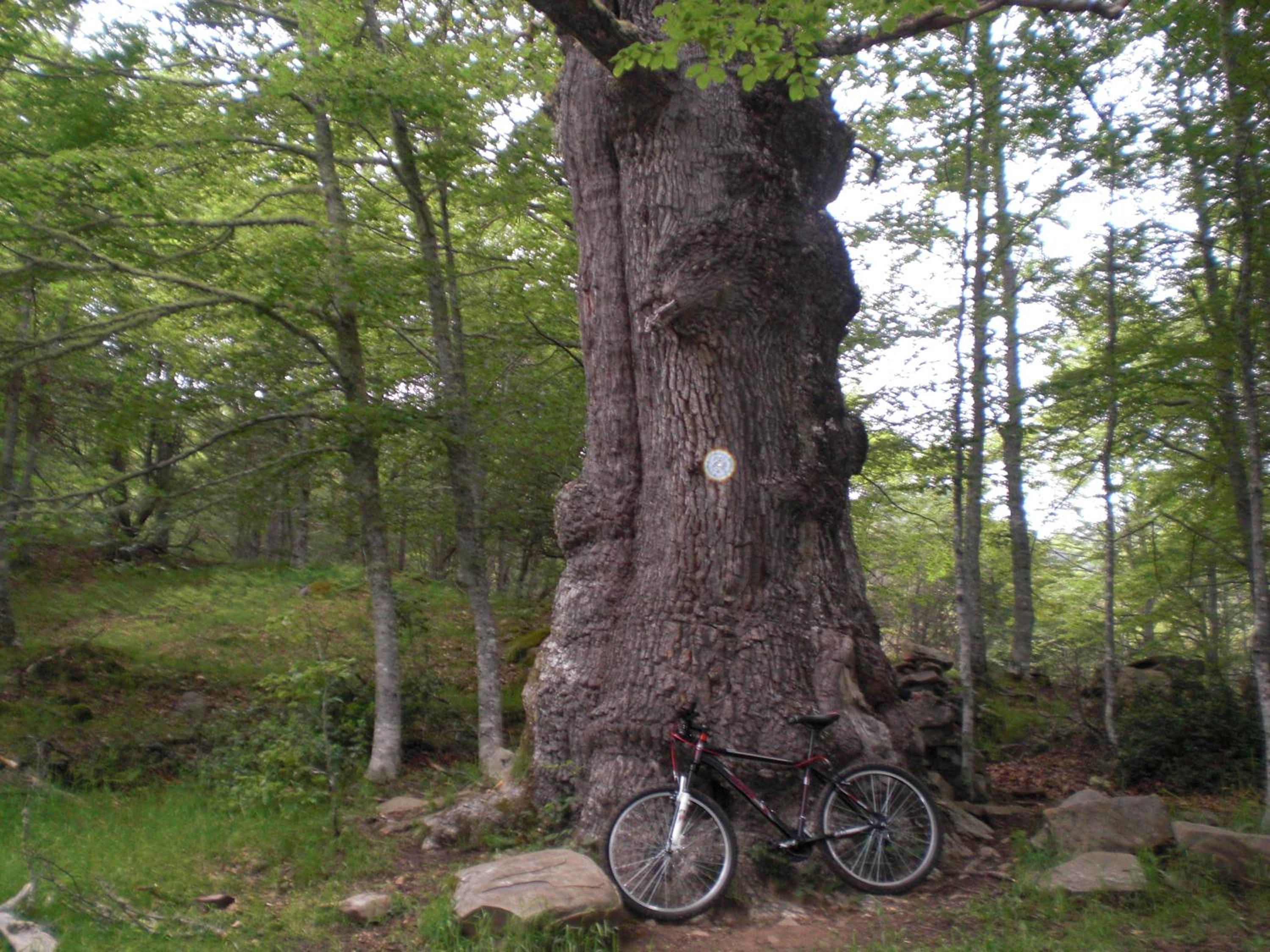 Photo 20