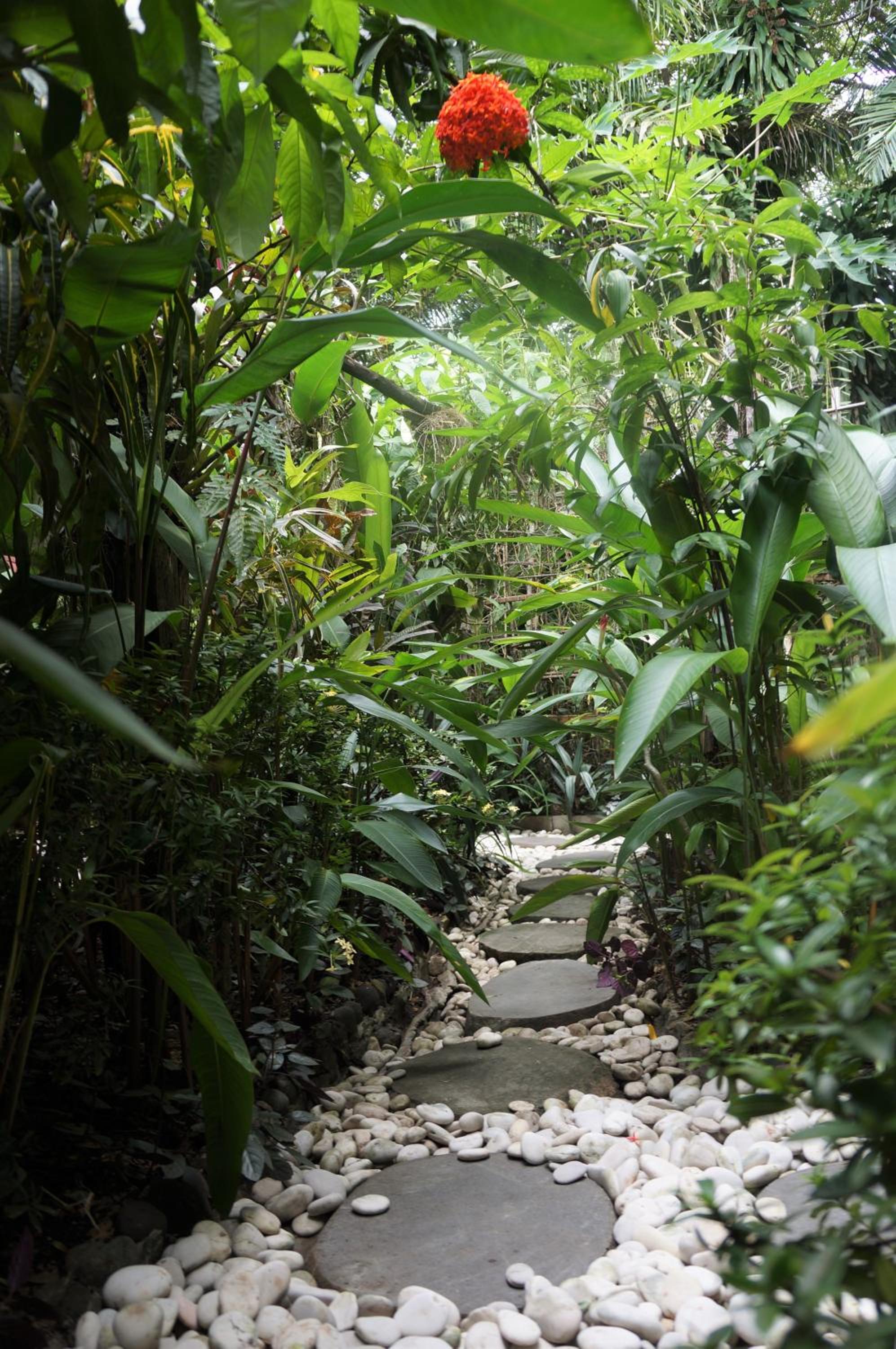 Raintree Lodge, photo 17