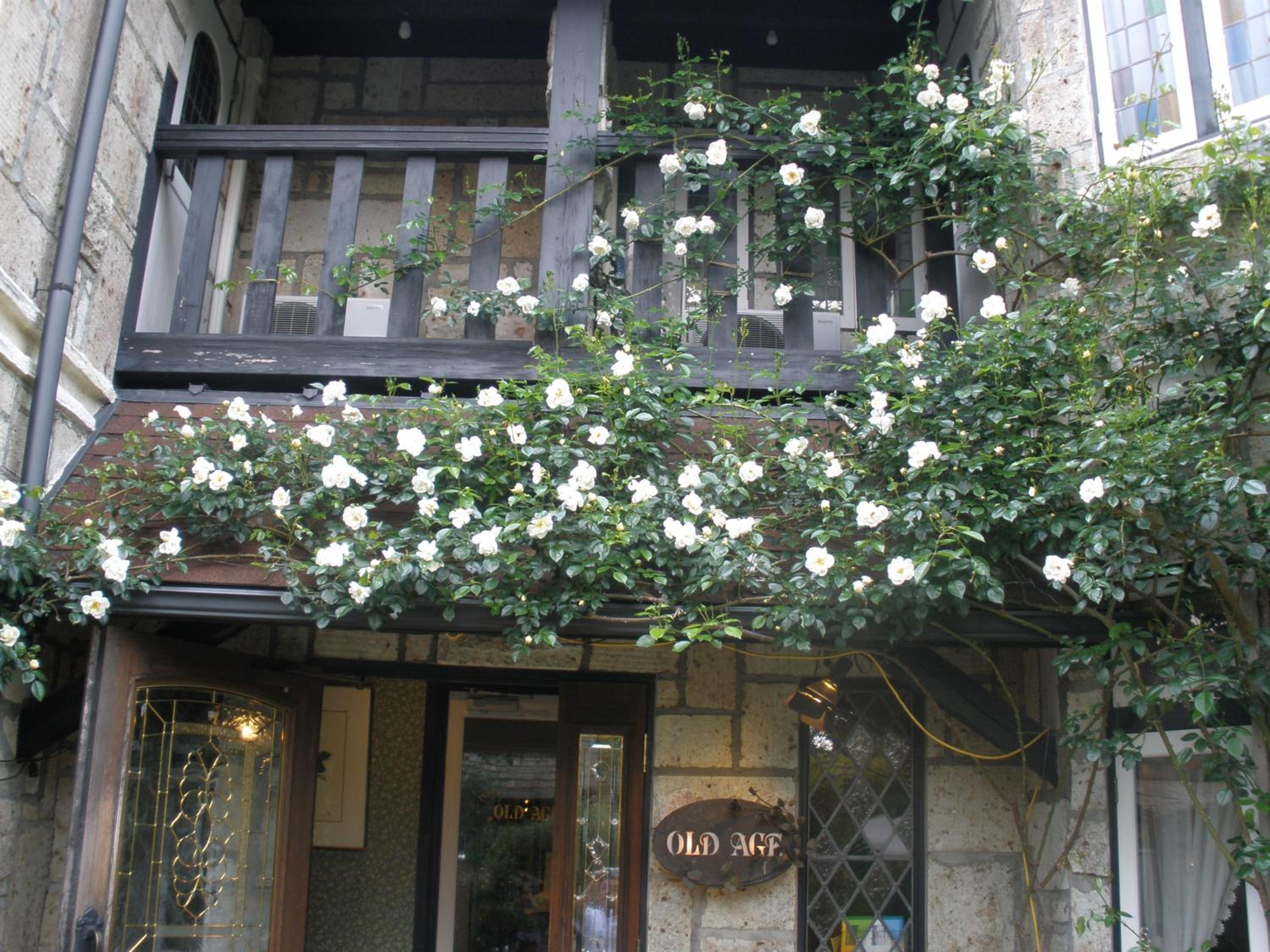 Petit Hotel & Restaurant Old Age