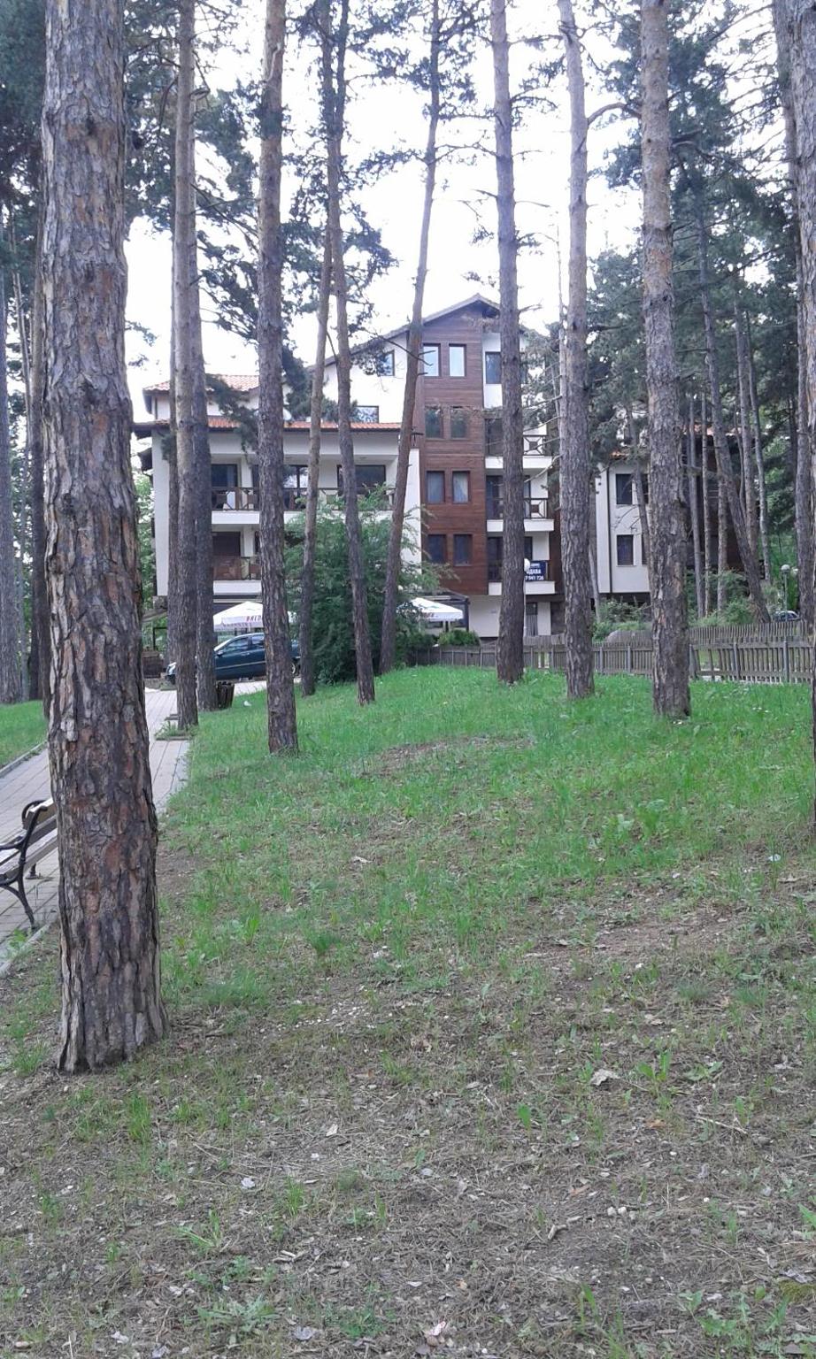 Photo 47