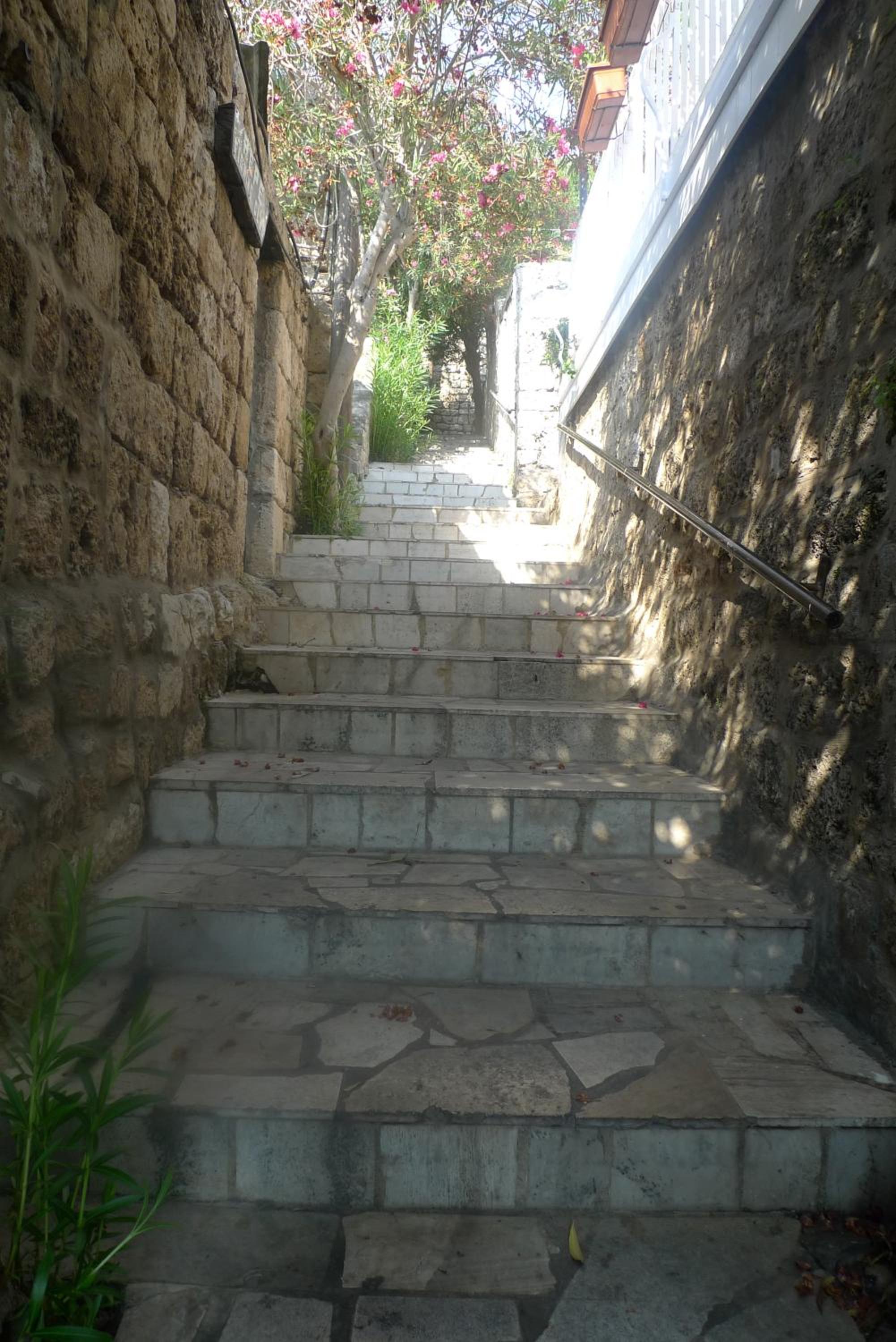 Photo 47