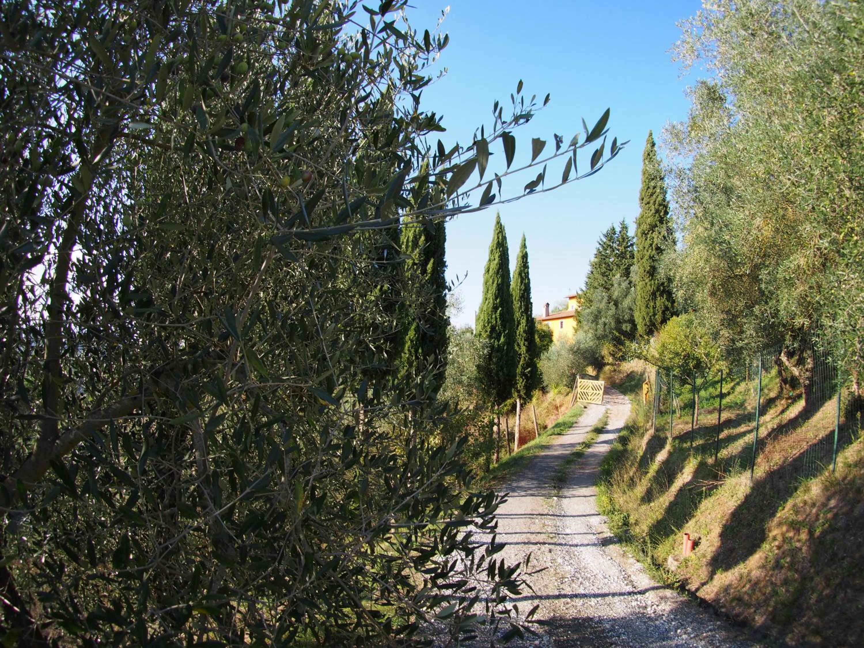 Photo 16