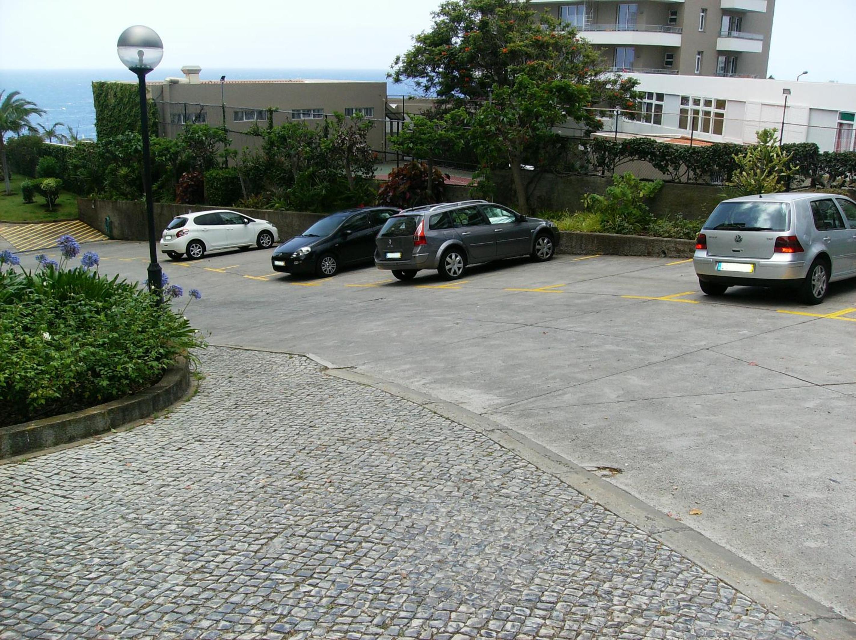 Photo 51
