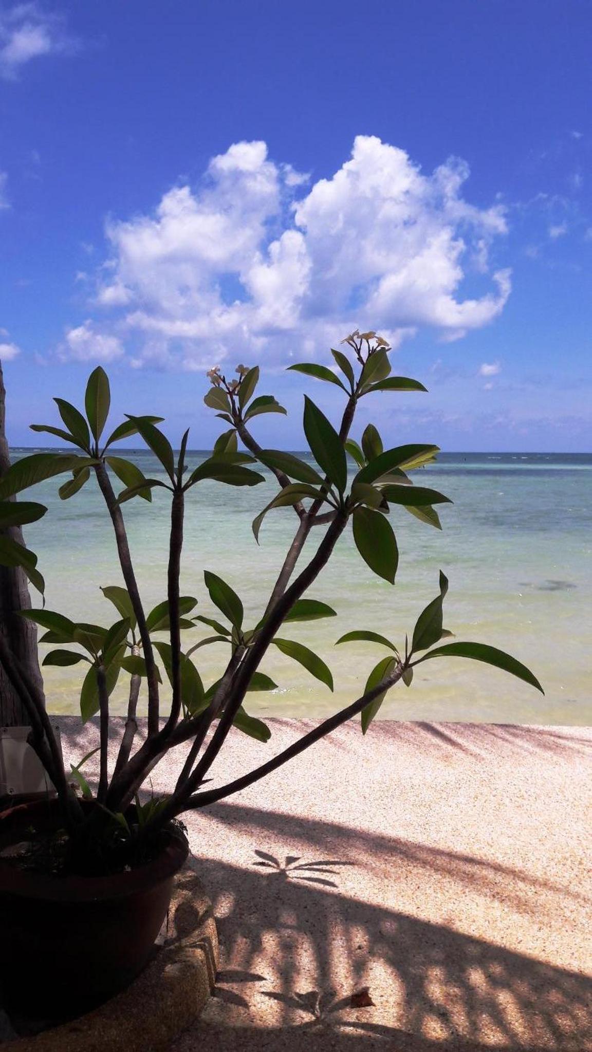 Papillon Resort