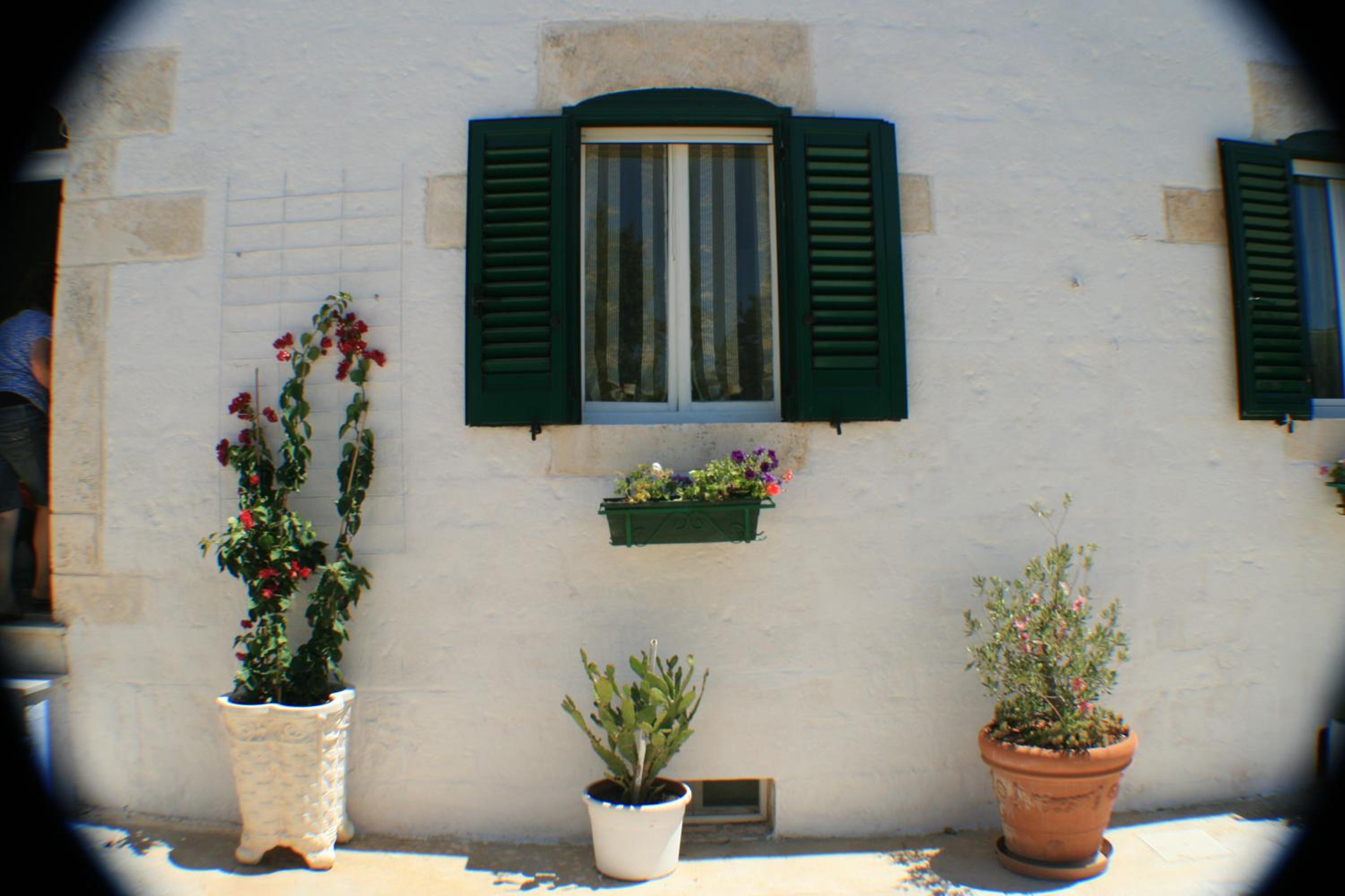 Casolare Capitolo photo 2