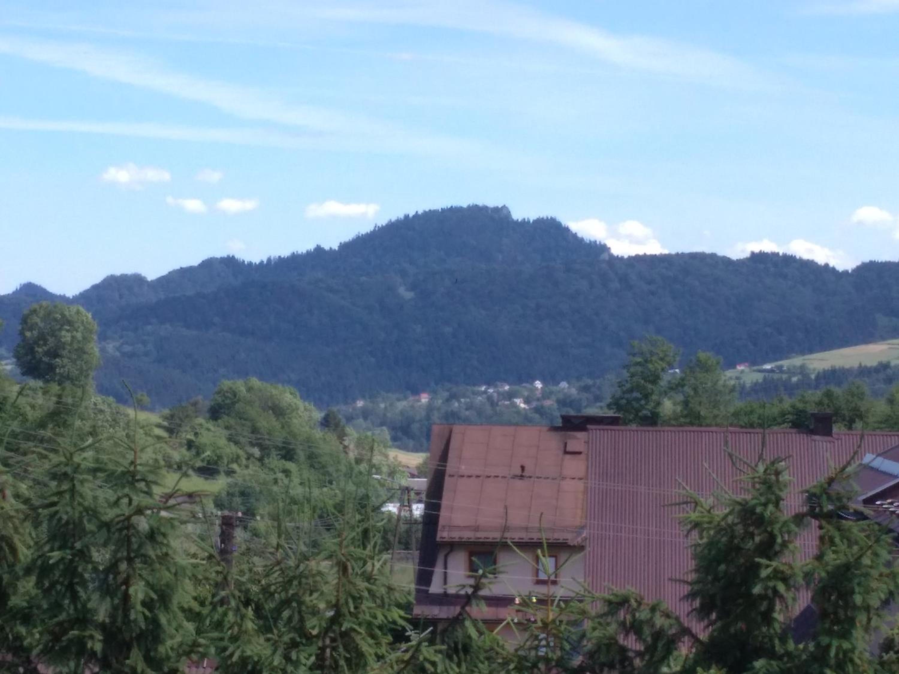 Photo 48