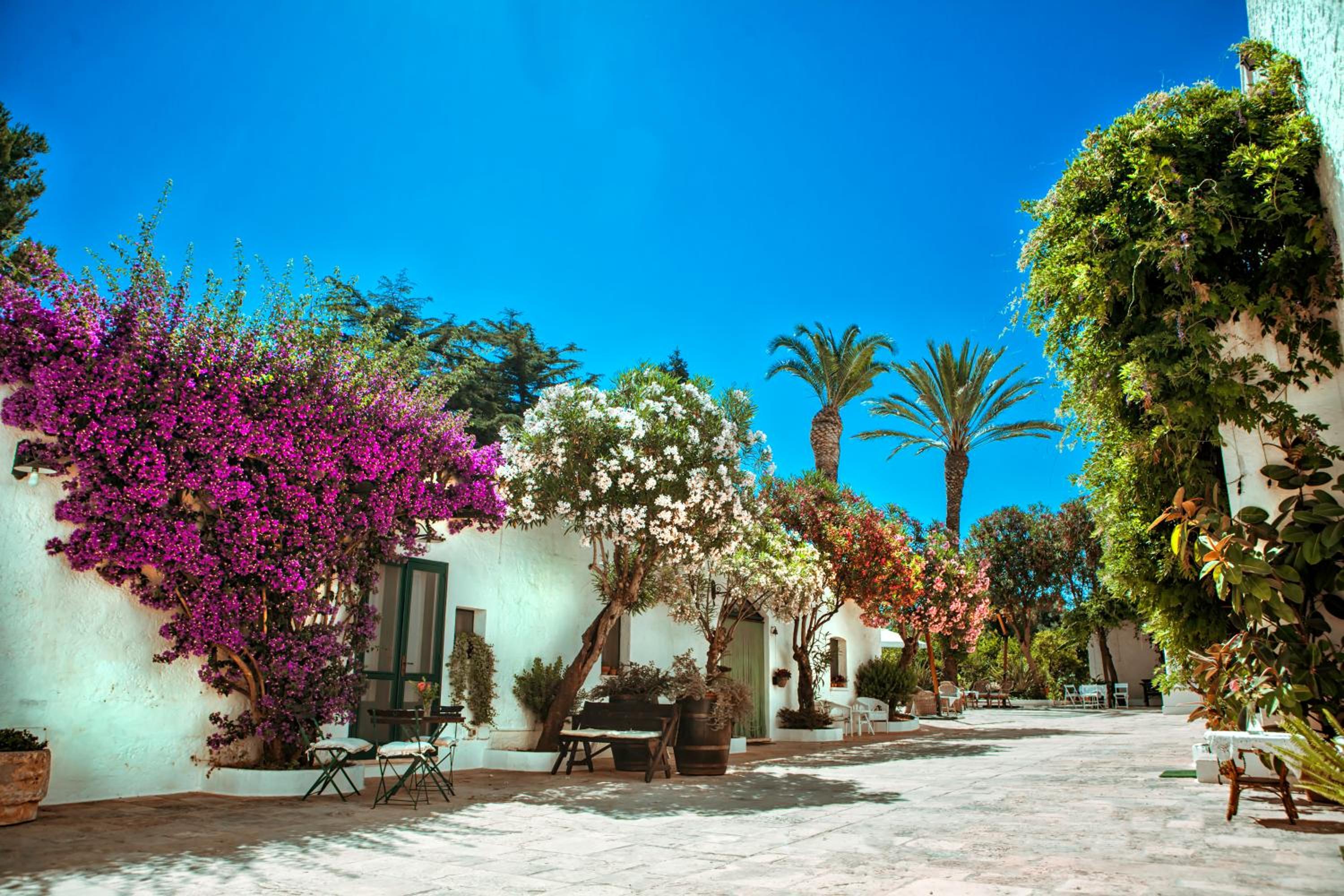 Masseria Il Frantoio view 4