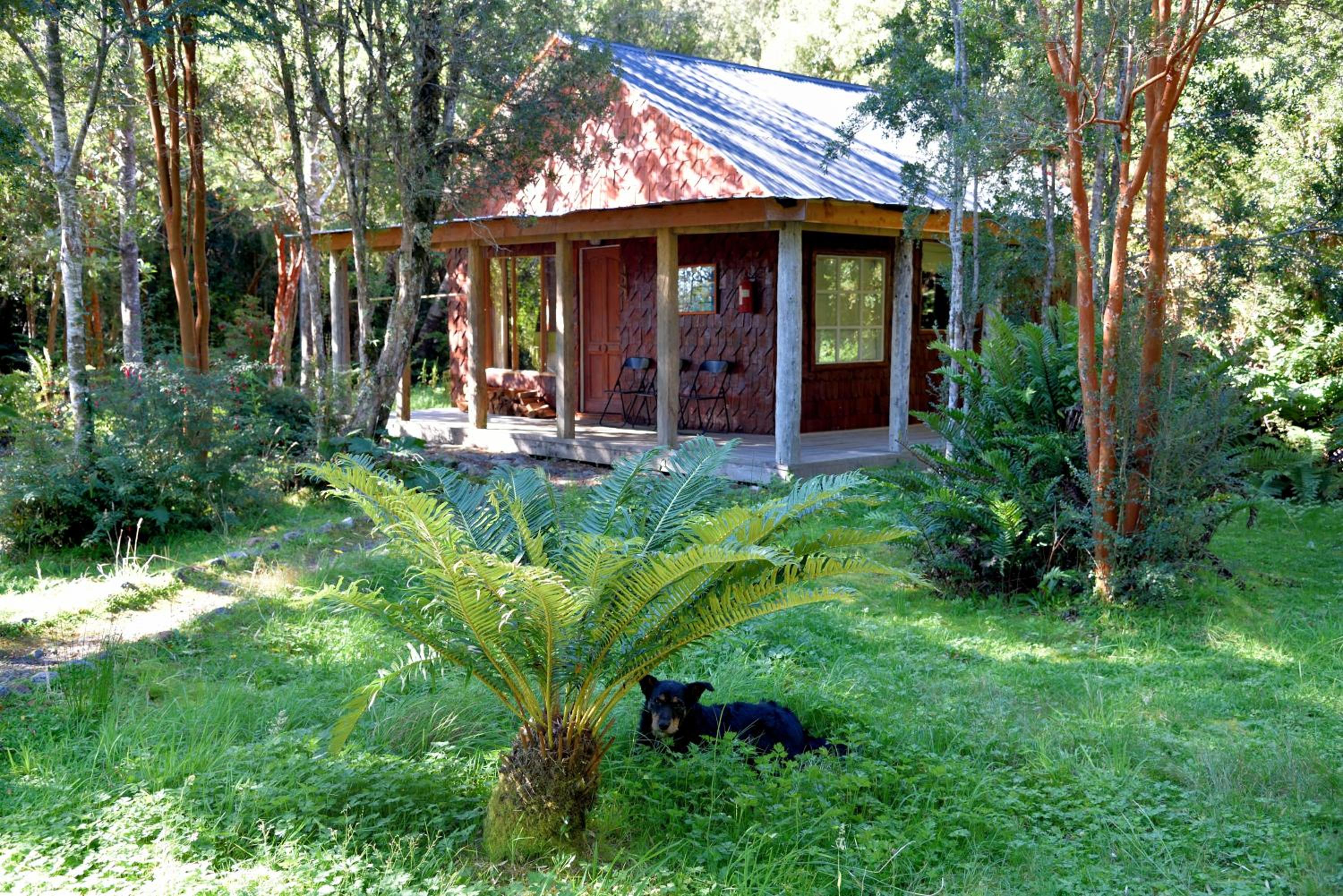 garden