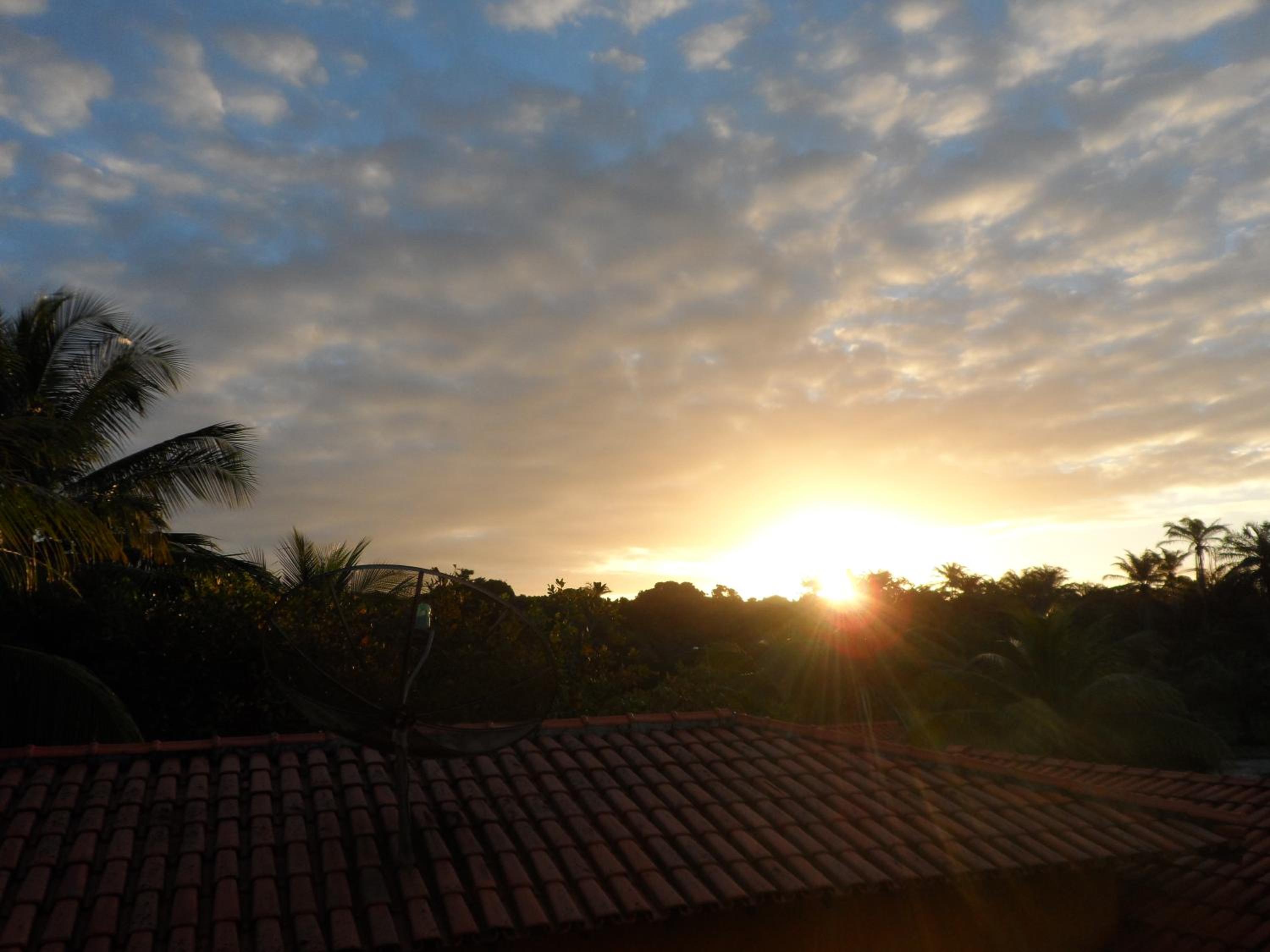 Photo 52