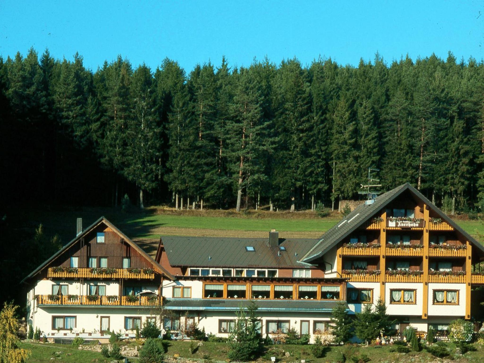 Hotel Bed & Breakfast Auerhahn - Black Forest - Image 1