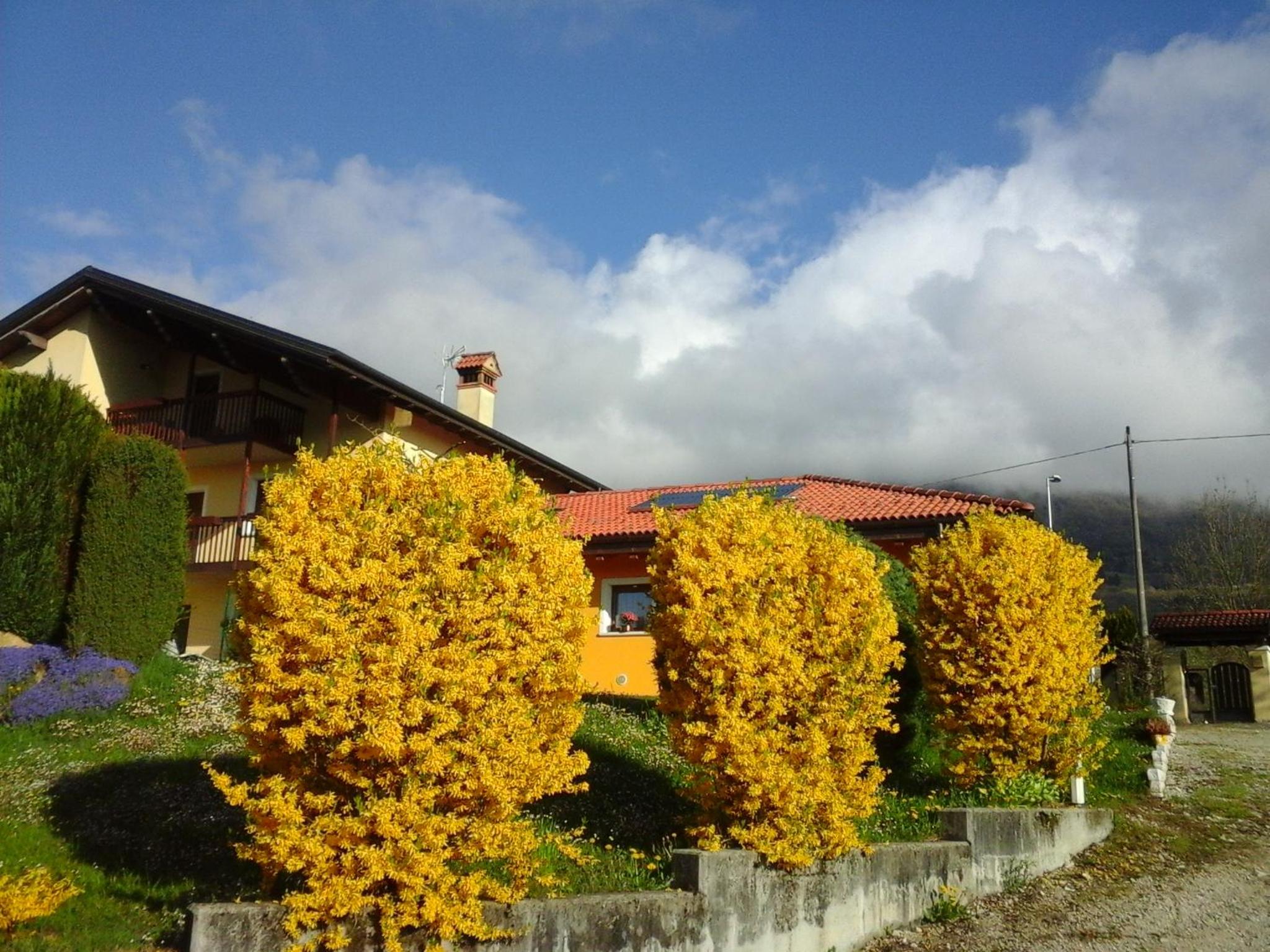 Photo 33