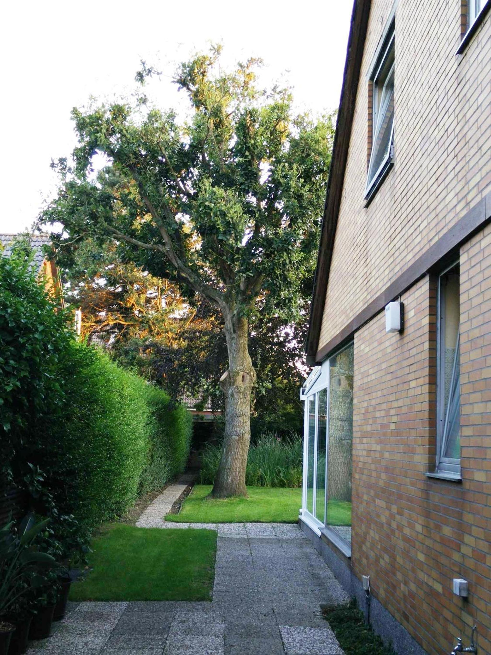 Photo 40