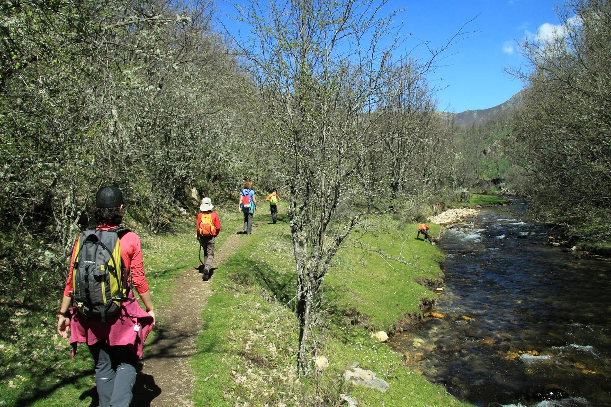 Photo 26