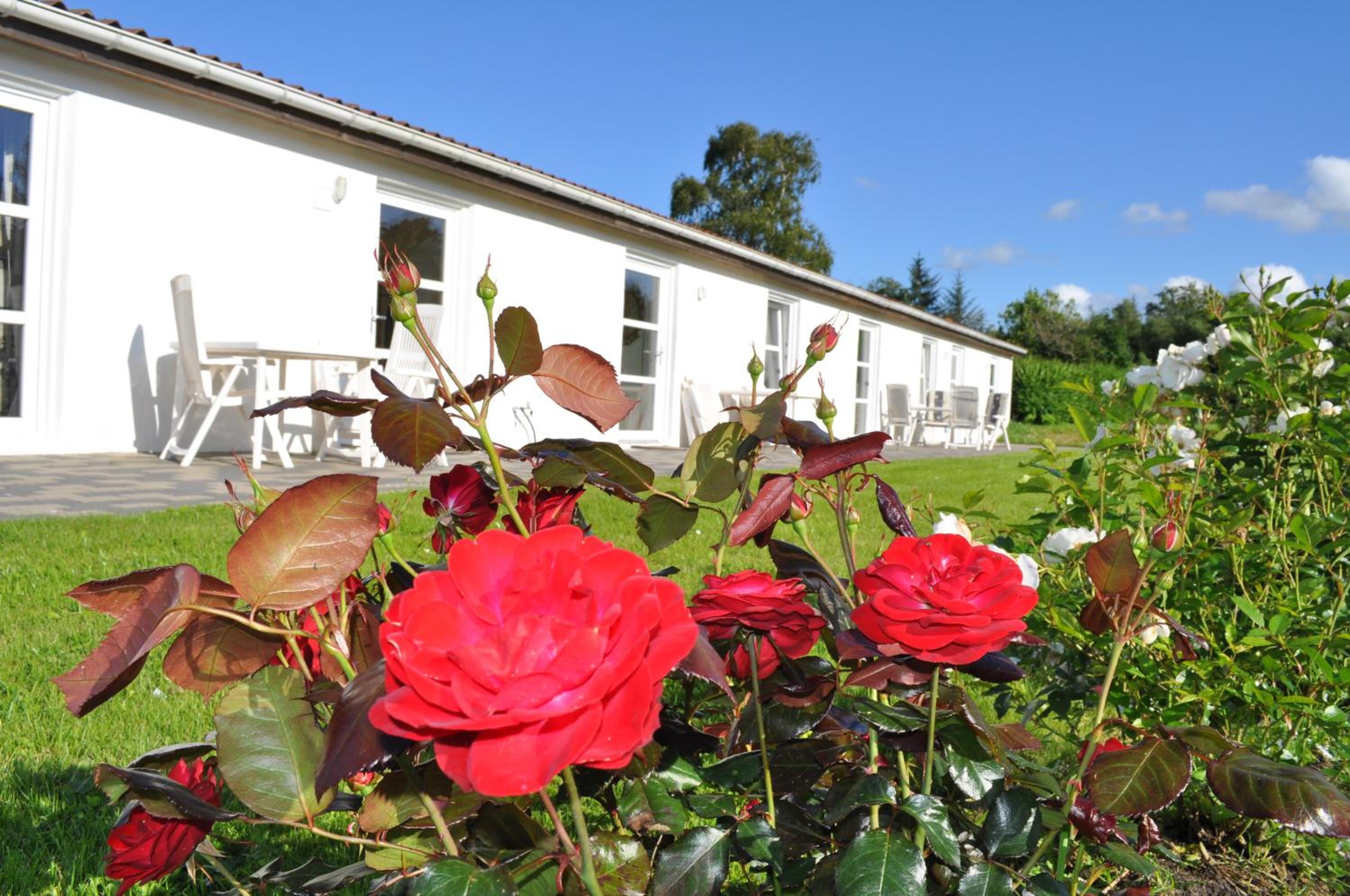 Koebenhovedskov Bed & Breakfast view 2