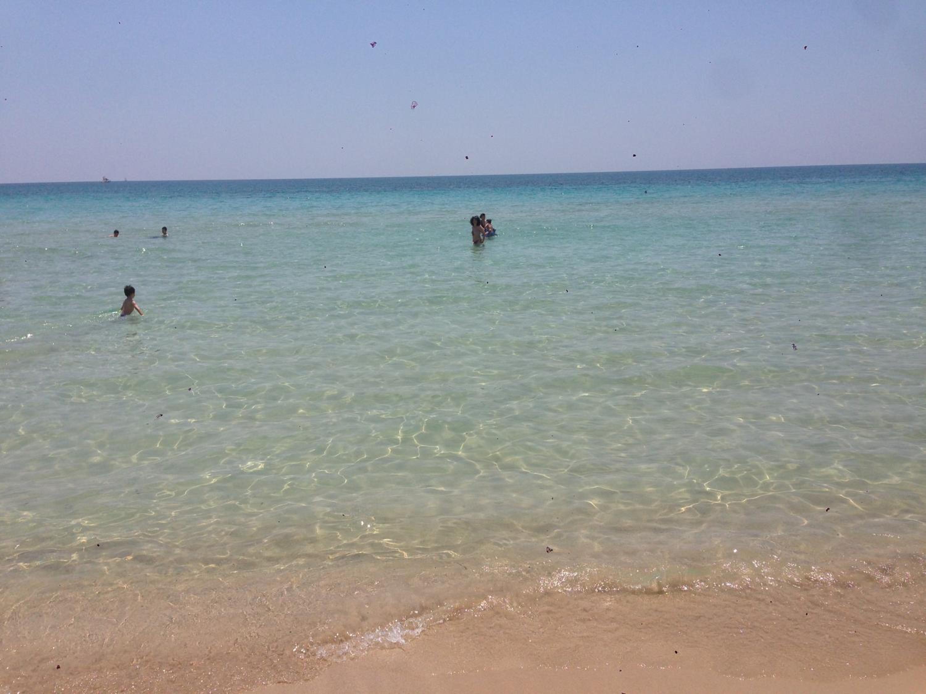 Photo 84