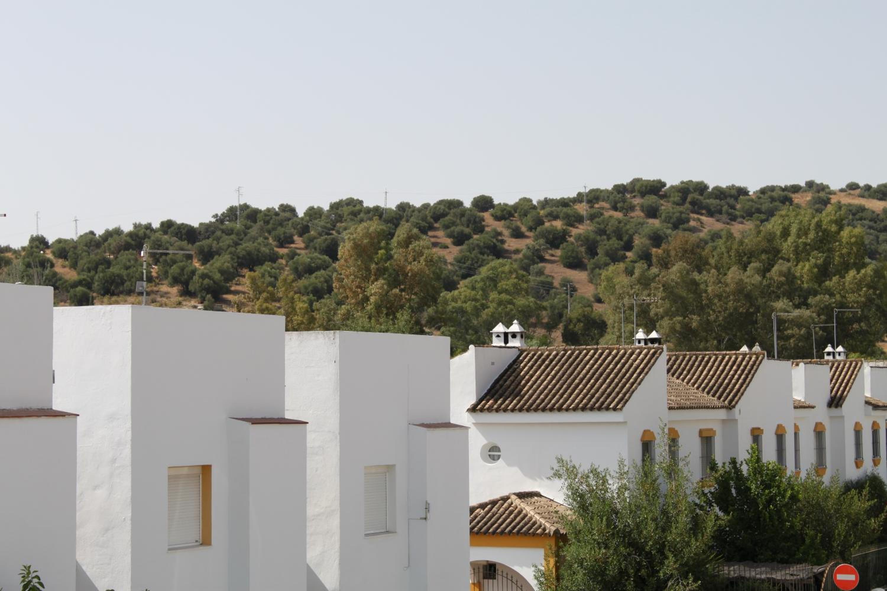 El Corral de Dolores photo 5