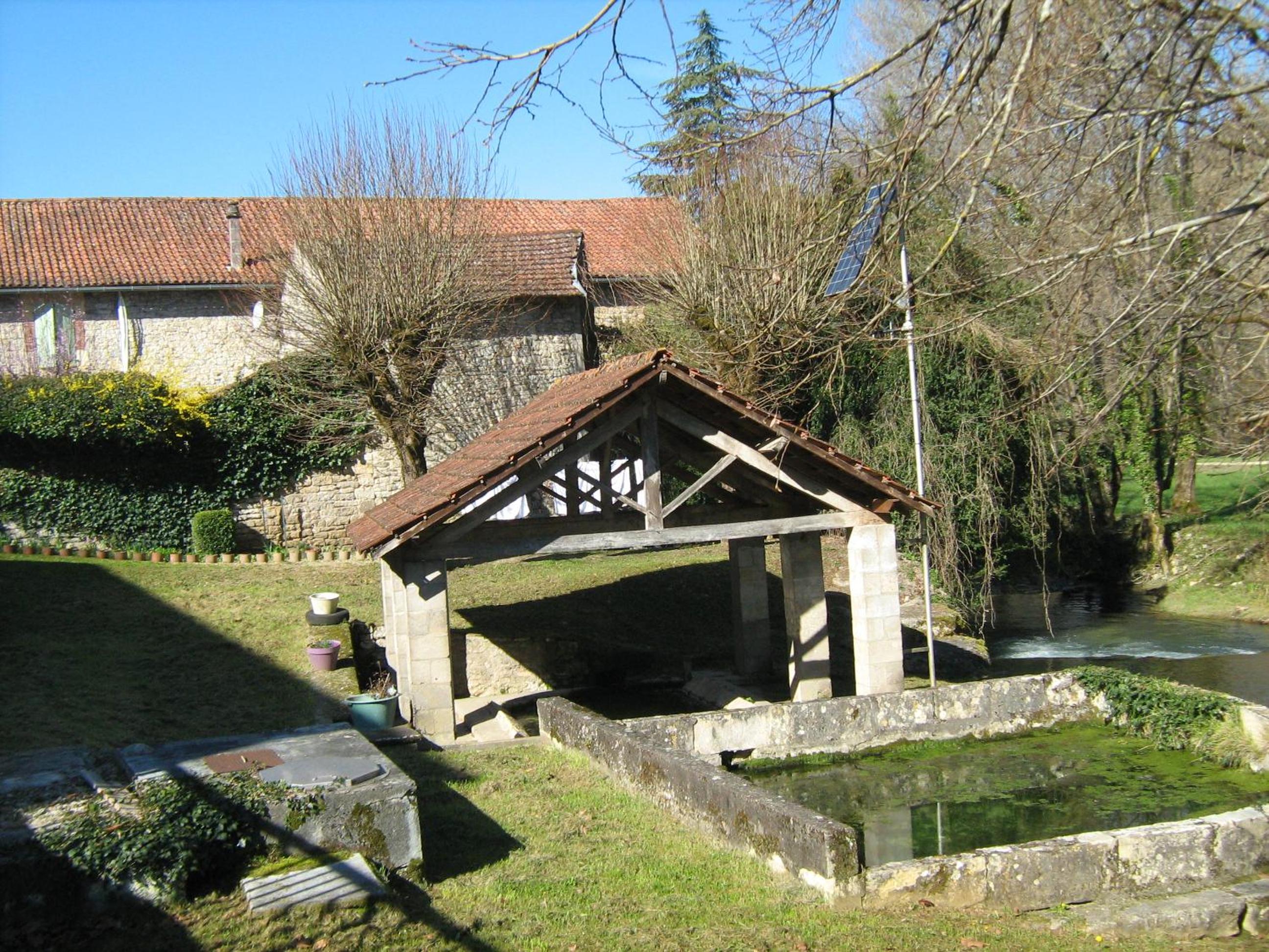 Photo 19