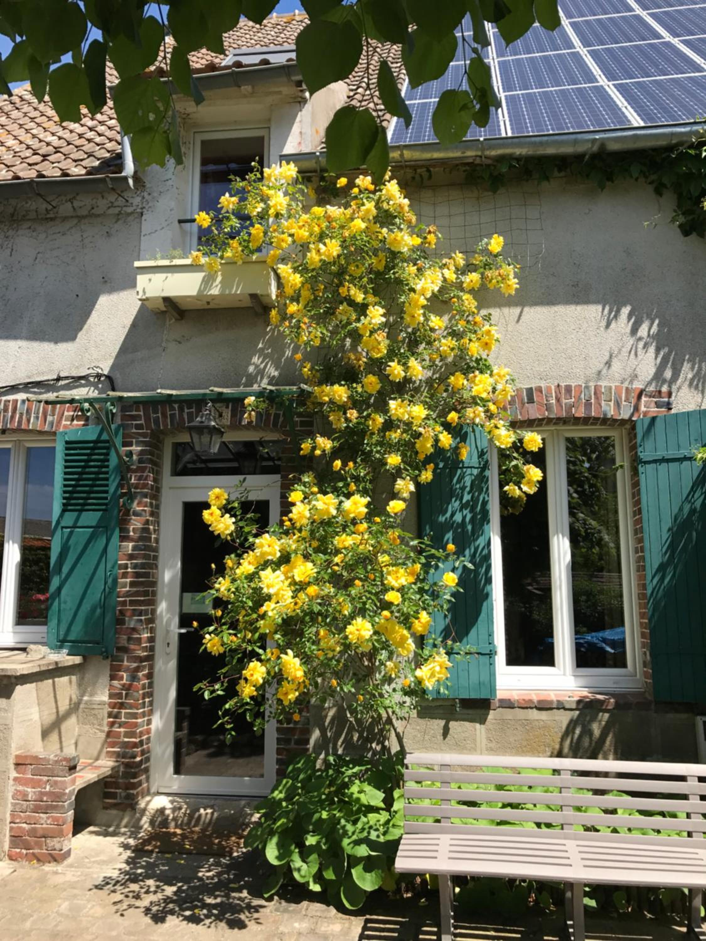 Photo 20