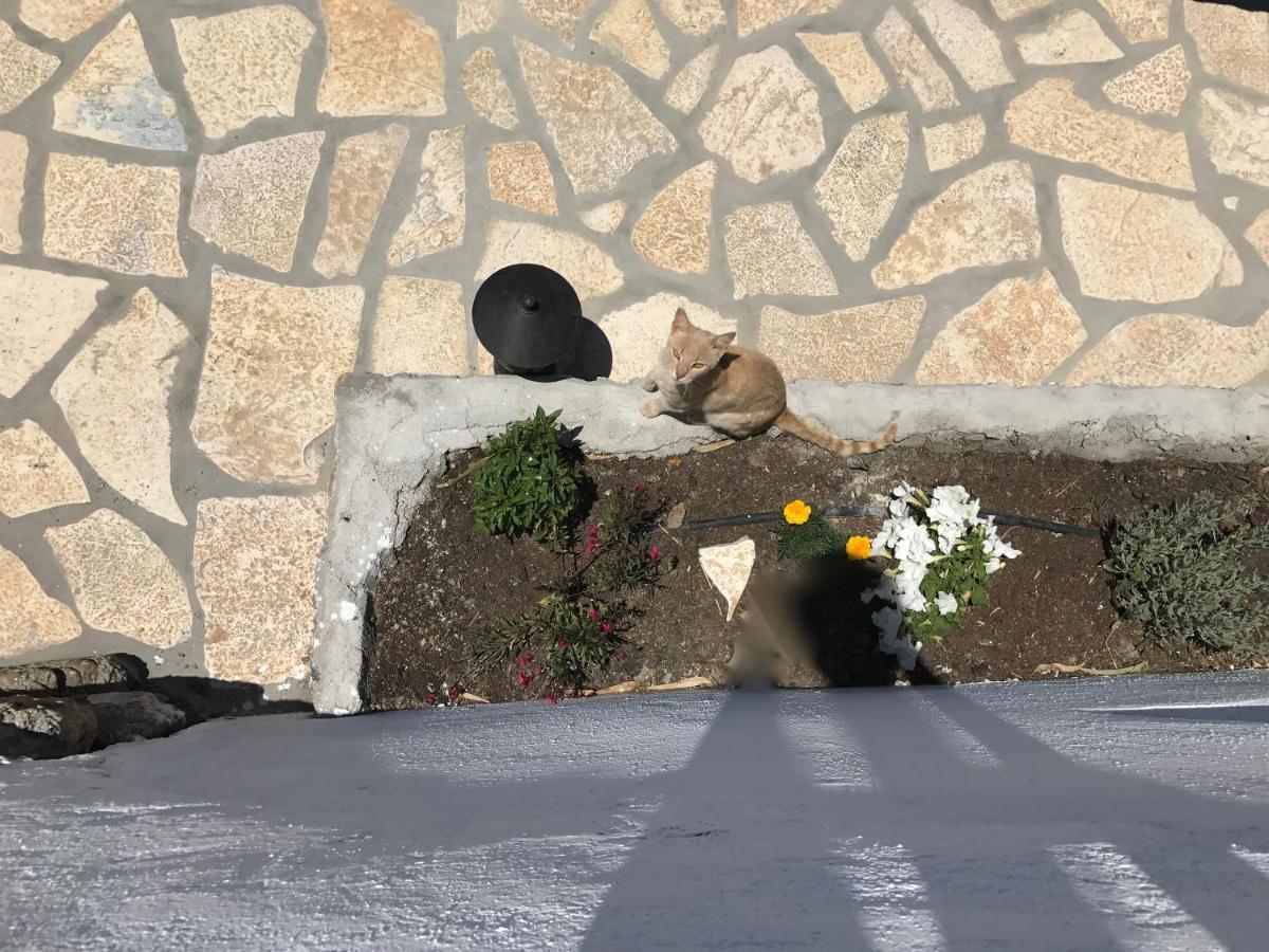 Photo 33