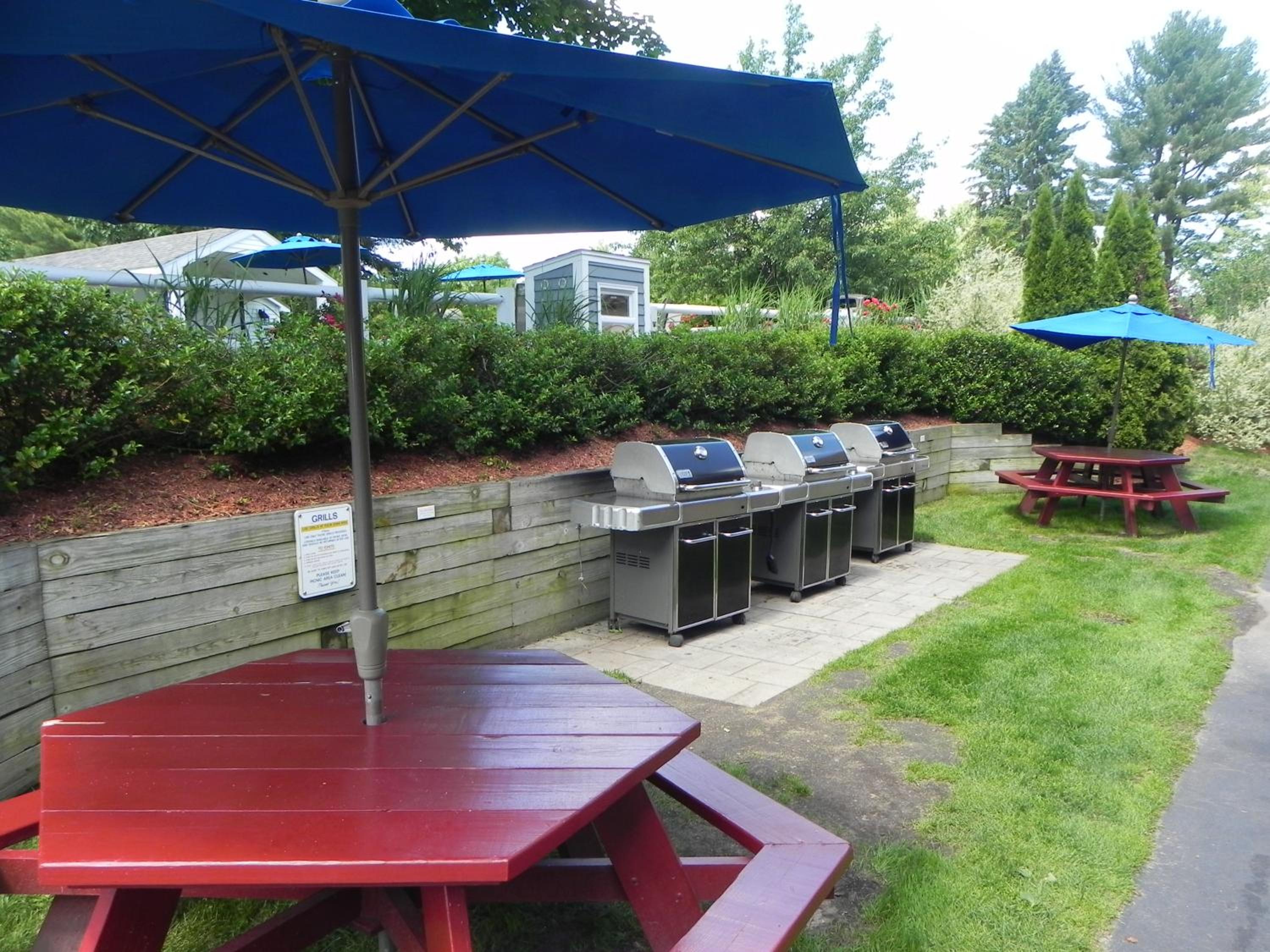 Elmwood Resort Hotel - Property Image 20