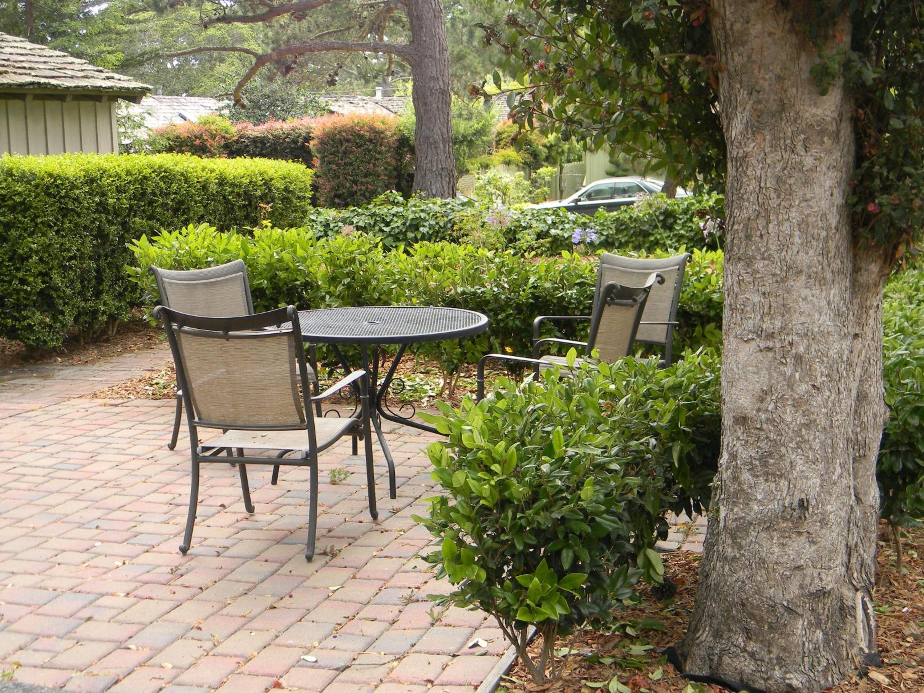 Carmel Resort Inn - Property Image 109