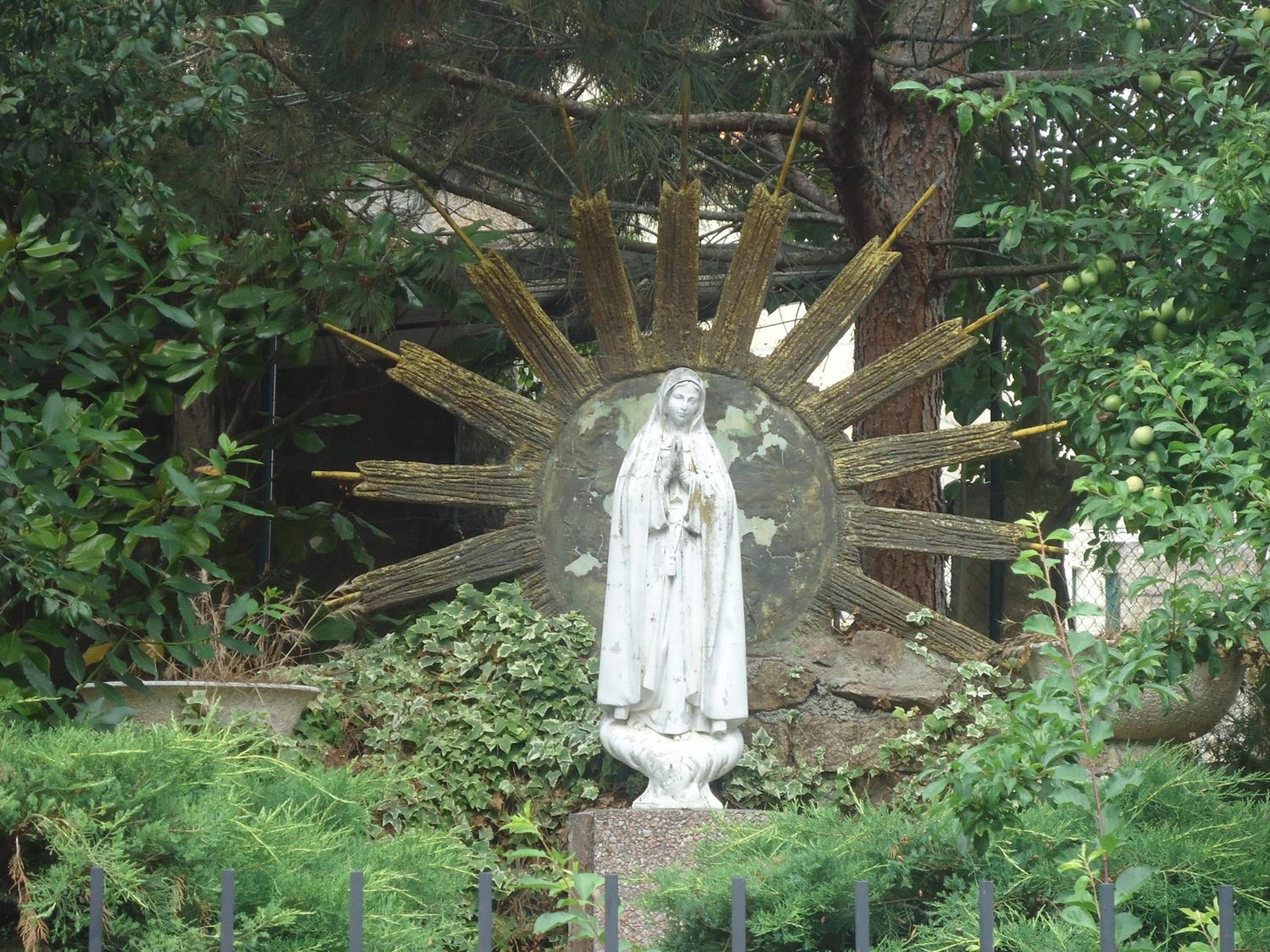 Photo 23