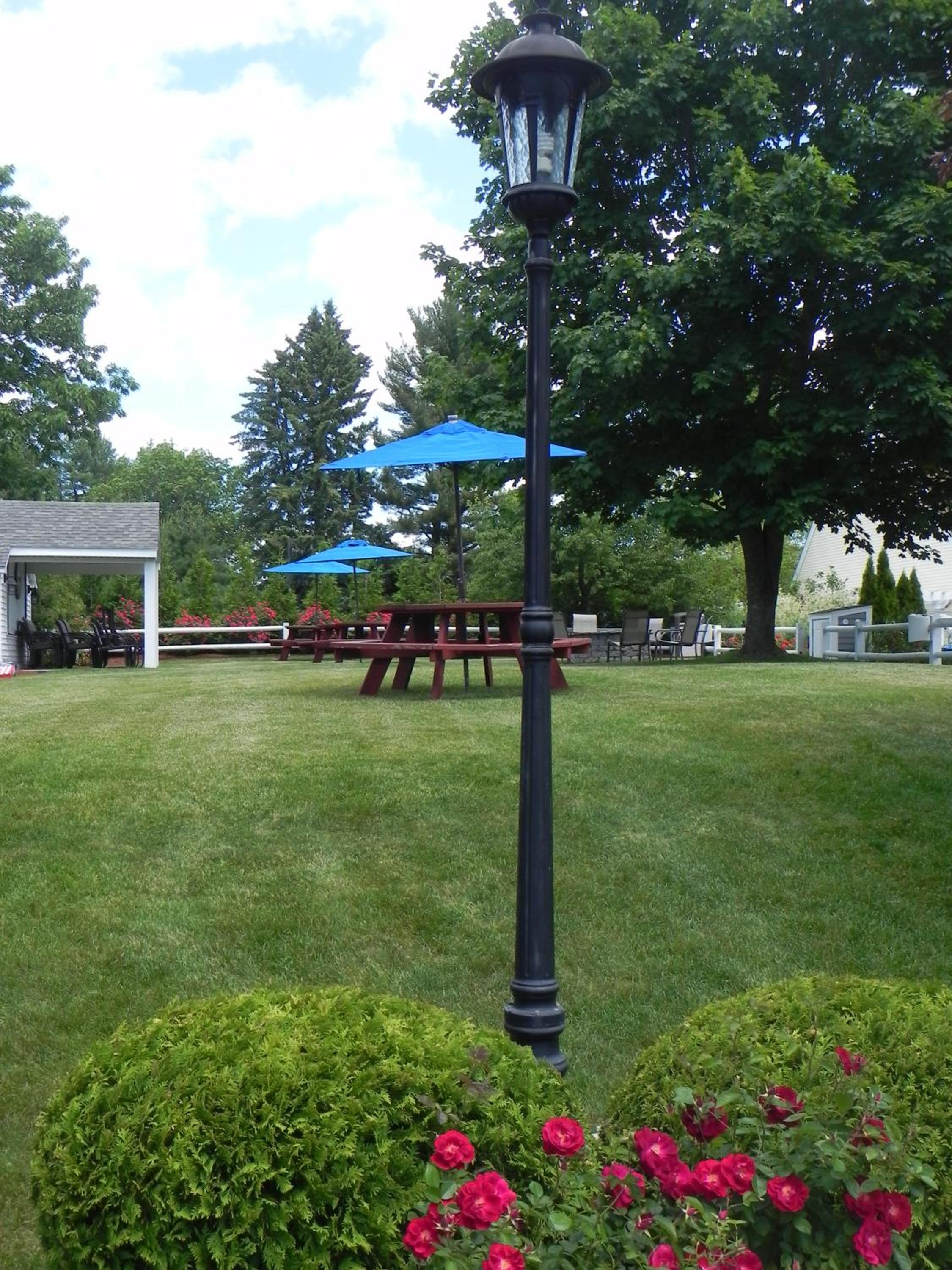 Elmwood Resort Hotel - Property Image 80