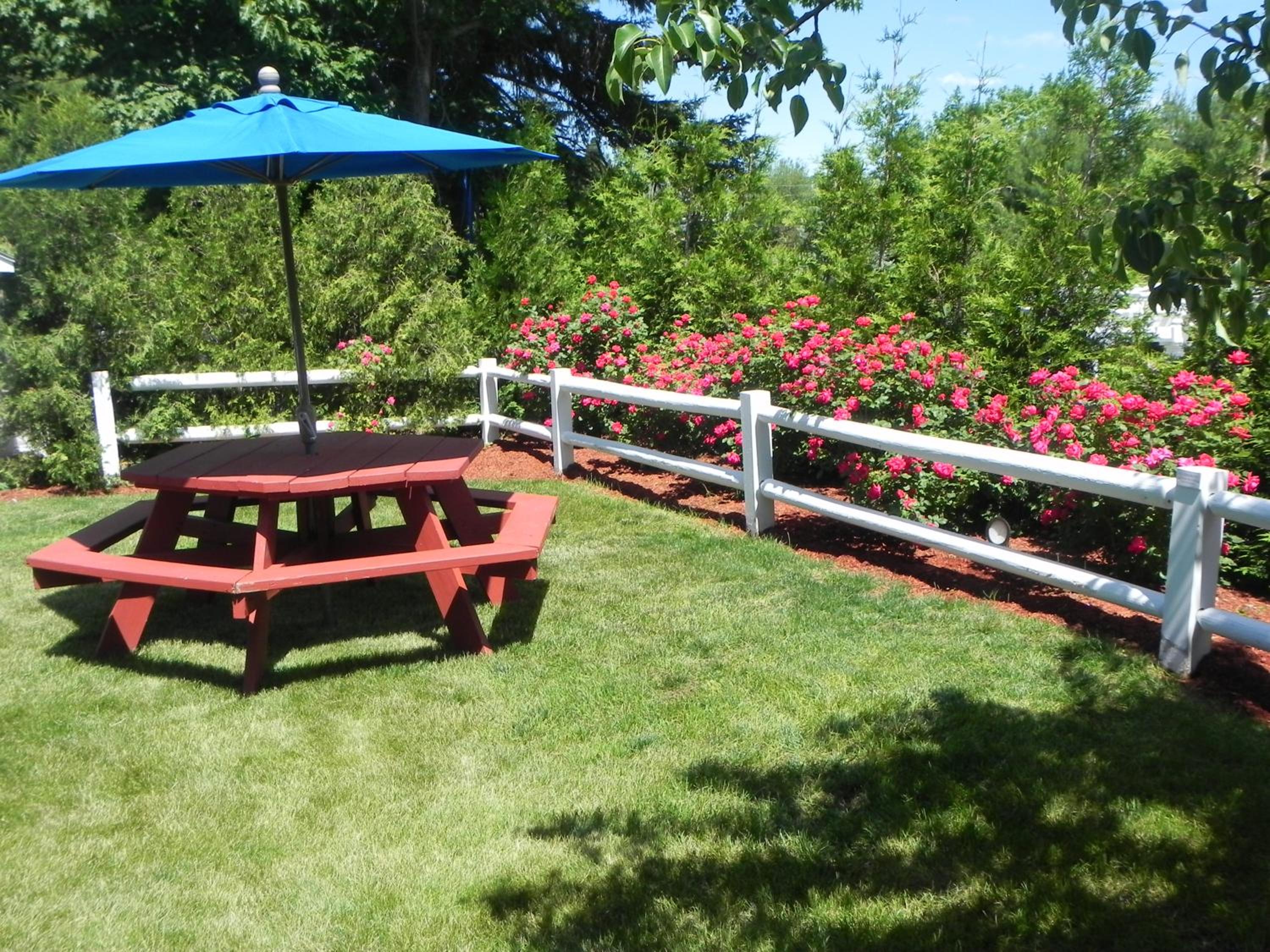 Elmwood Resort Hotel - Property Image 64